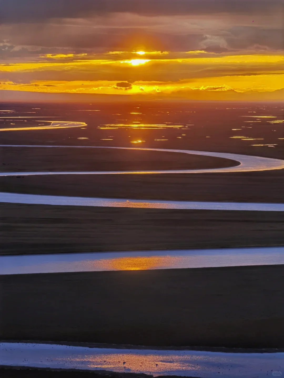 南北疆玩法终极指南🤯一篇让你看懂怎么玩