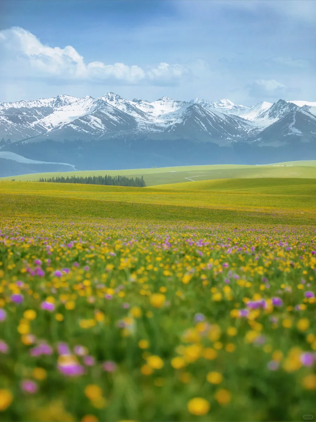 南北疆玩法终极指南🤯一篇让你看懂怎么玩
