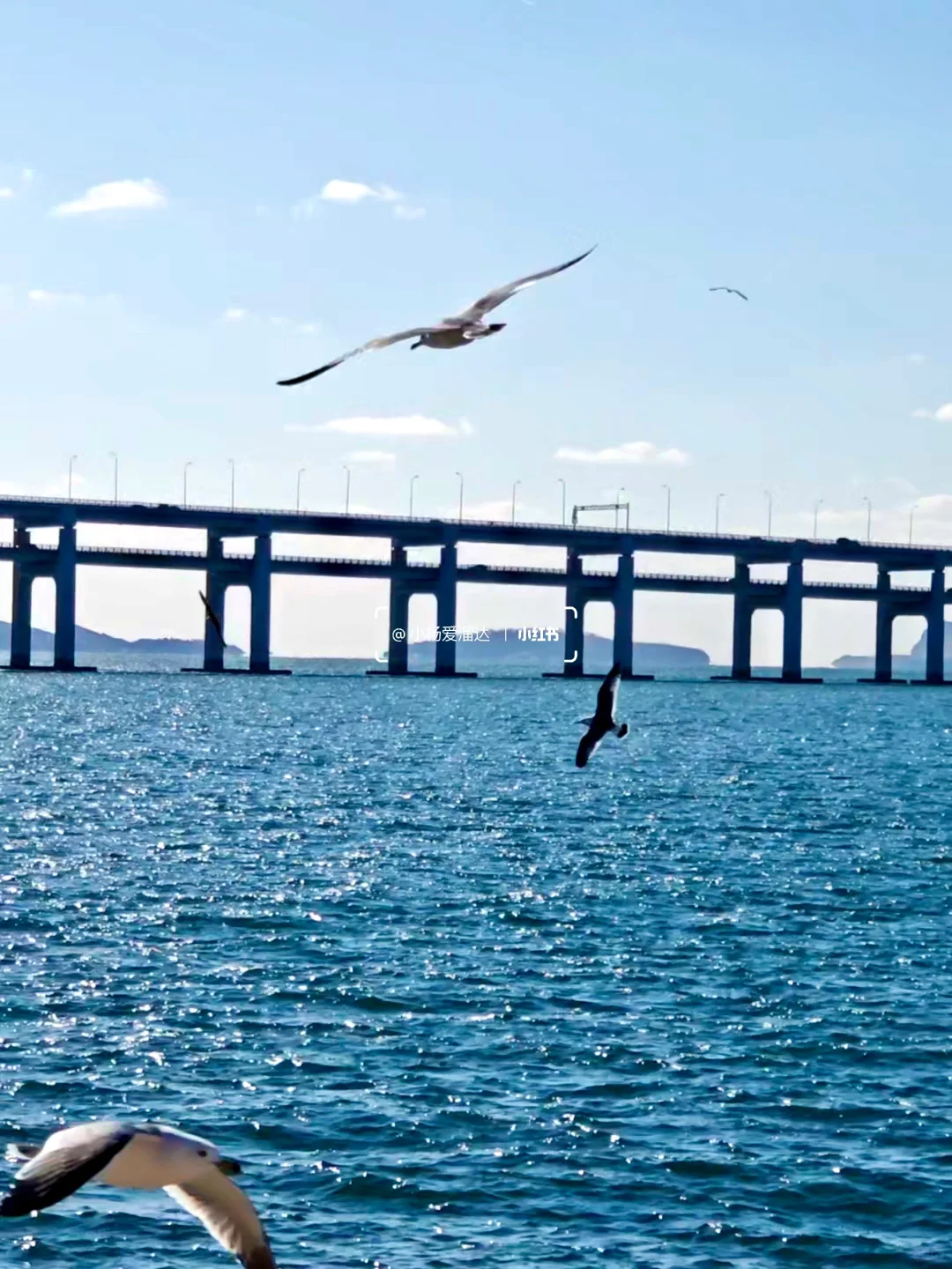 大连旅游最佳时间+必打卡景点，听劝不踩坑
