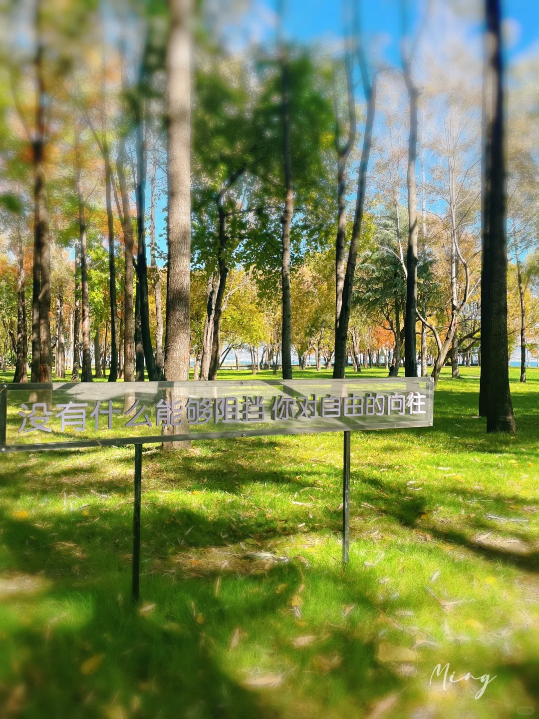 严重被低估❗️洱海旅拍人少出片宝藏公园🏞️