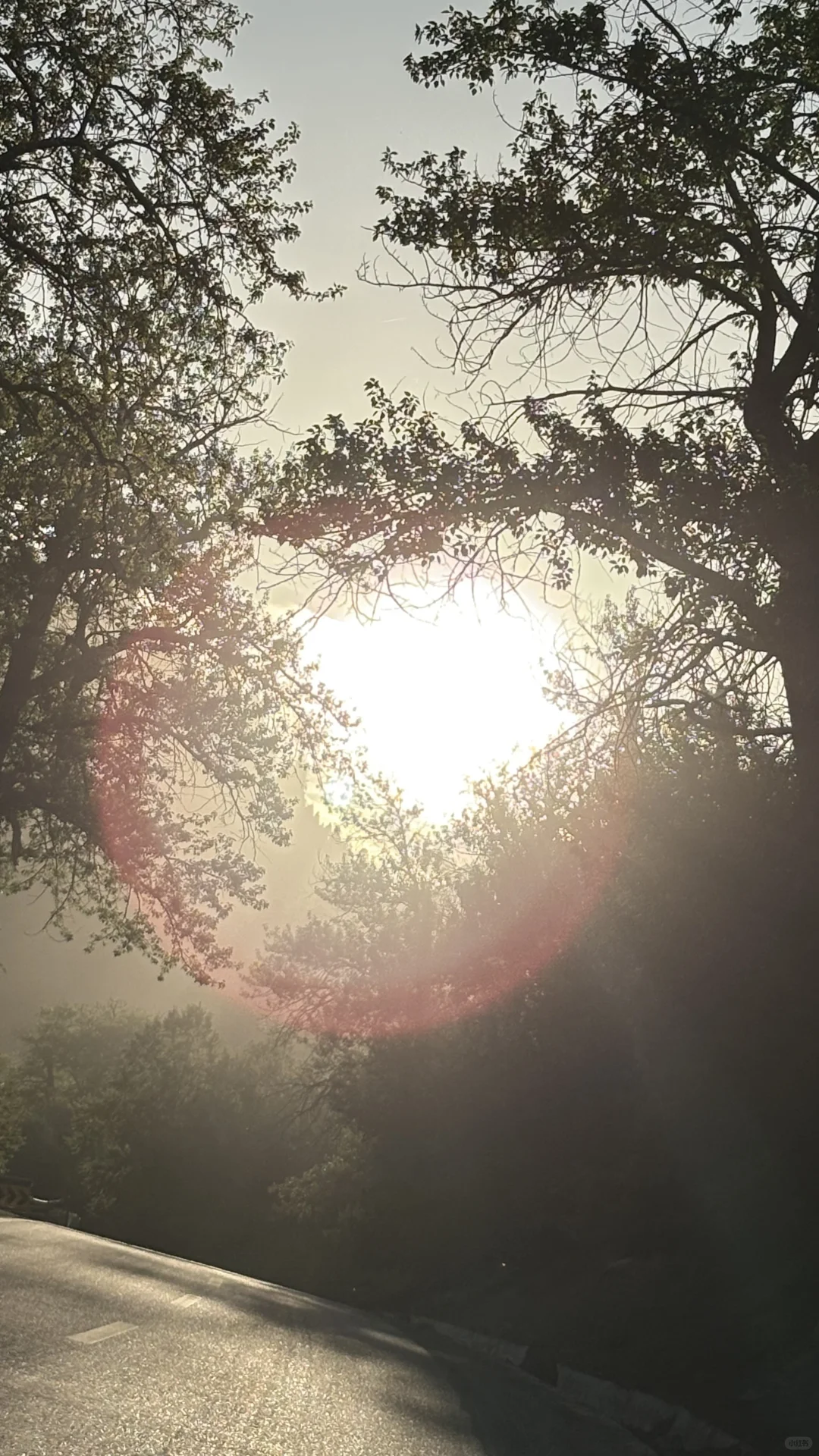 5.14的恰西和库尔德宁大晴天