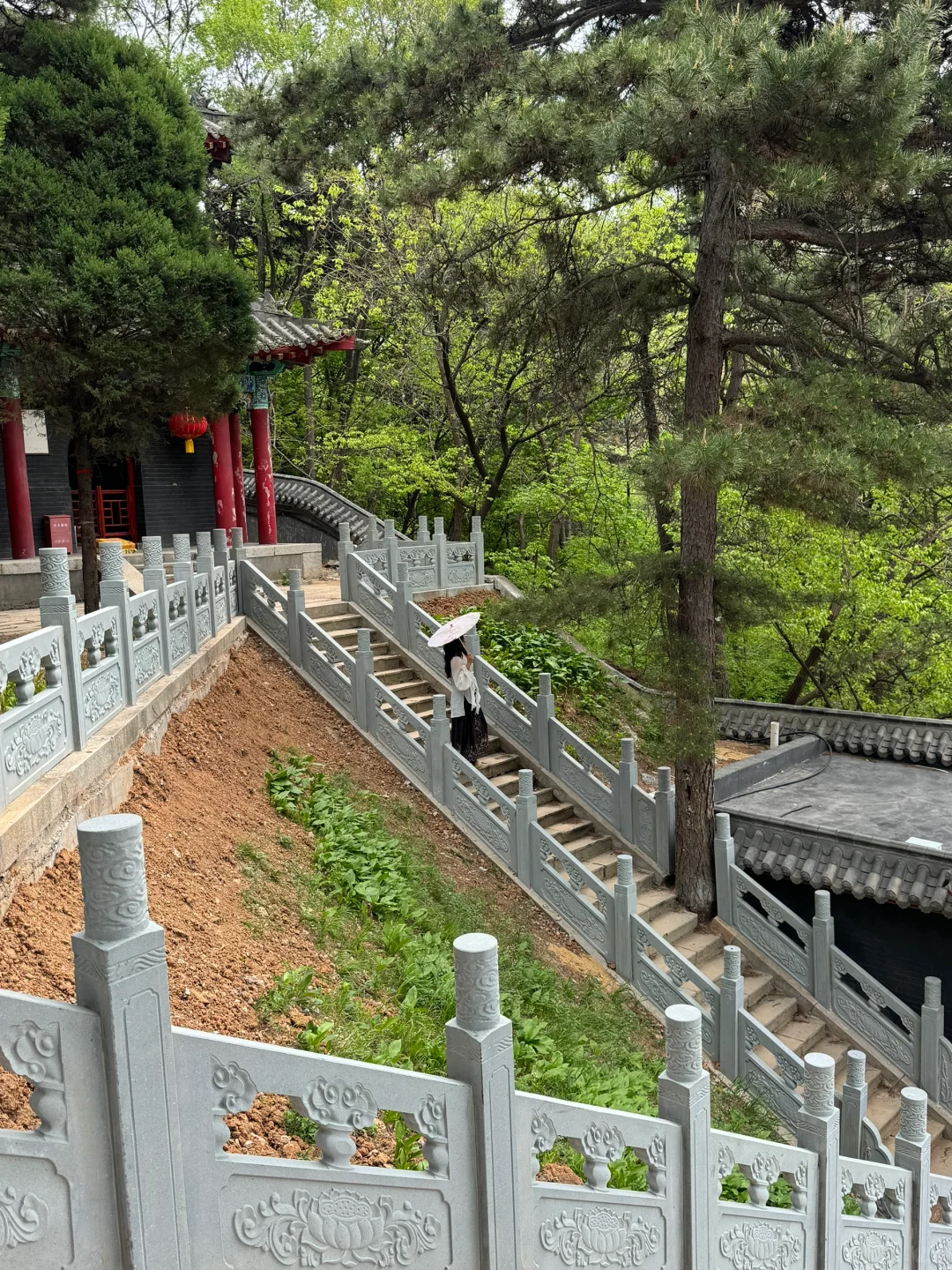 沈阳免费景点！！快去！！预计会🔥