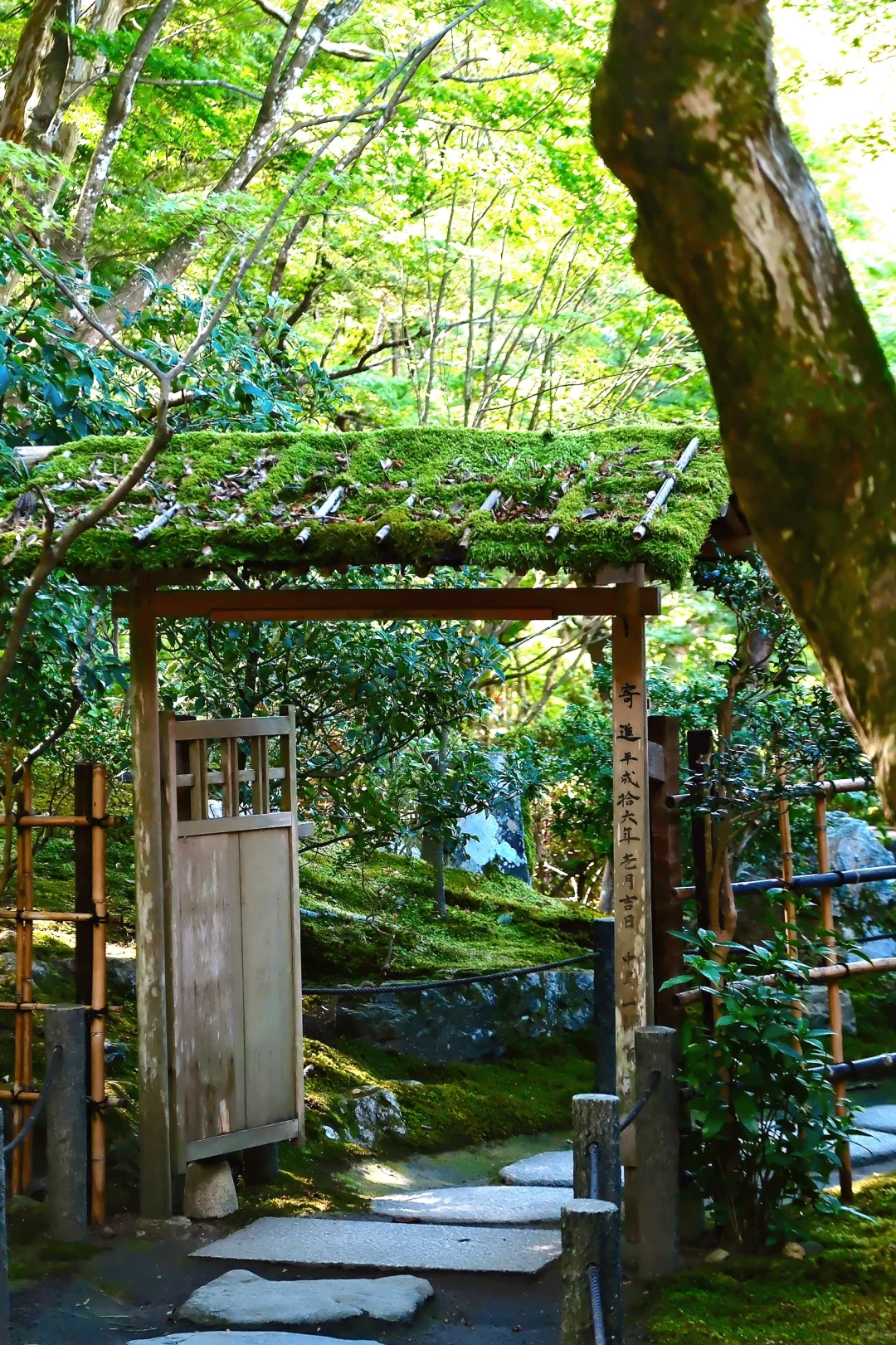 🇯🇵|天授庵🍃京都最值得的一日游路线