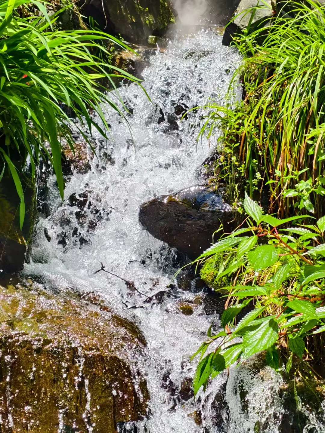 江西婺源篁岭景区，不愧是央视严选
