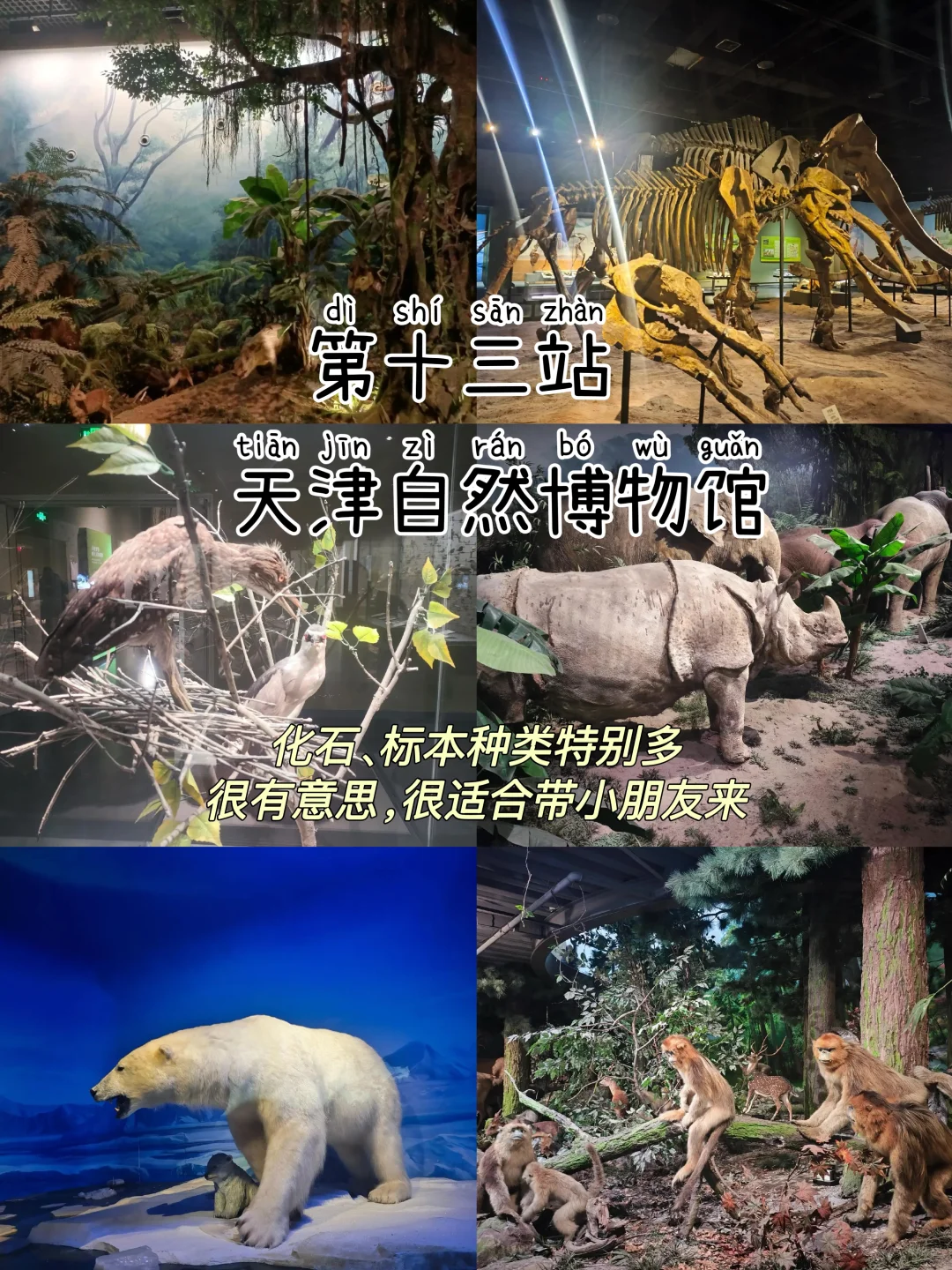 2024旅行结算｜天津📍三天两夜逛吃攻略‼️