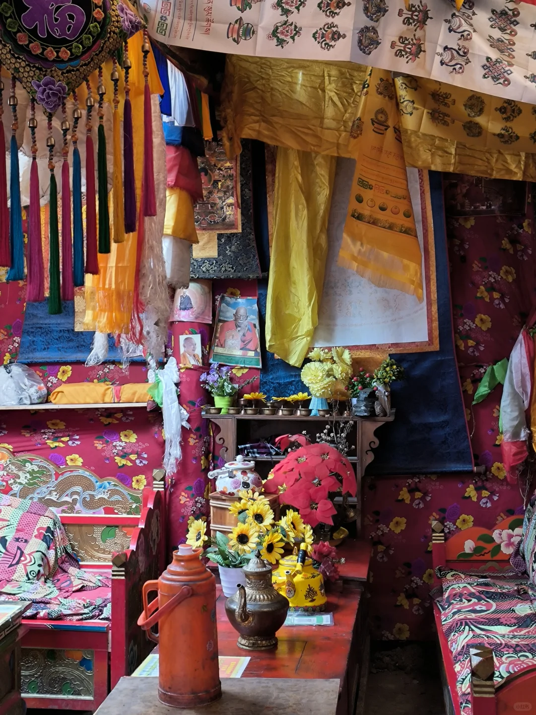 避雷！稻城又远风景又一般 狗都不去～