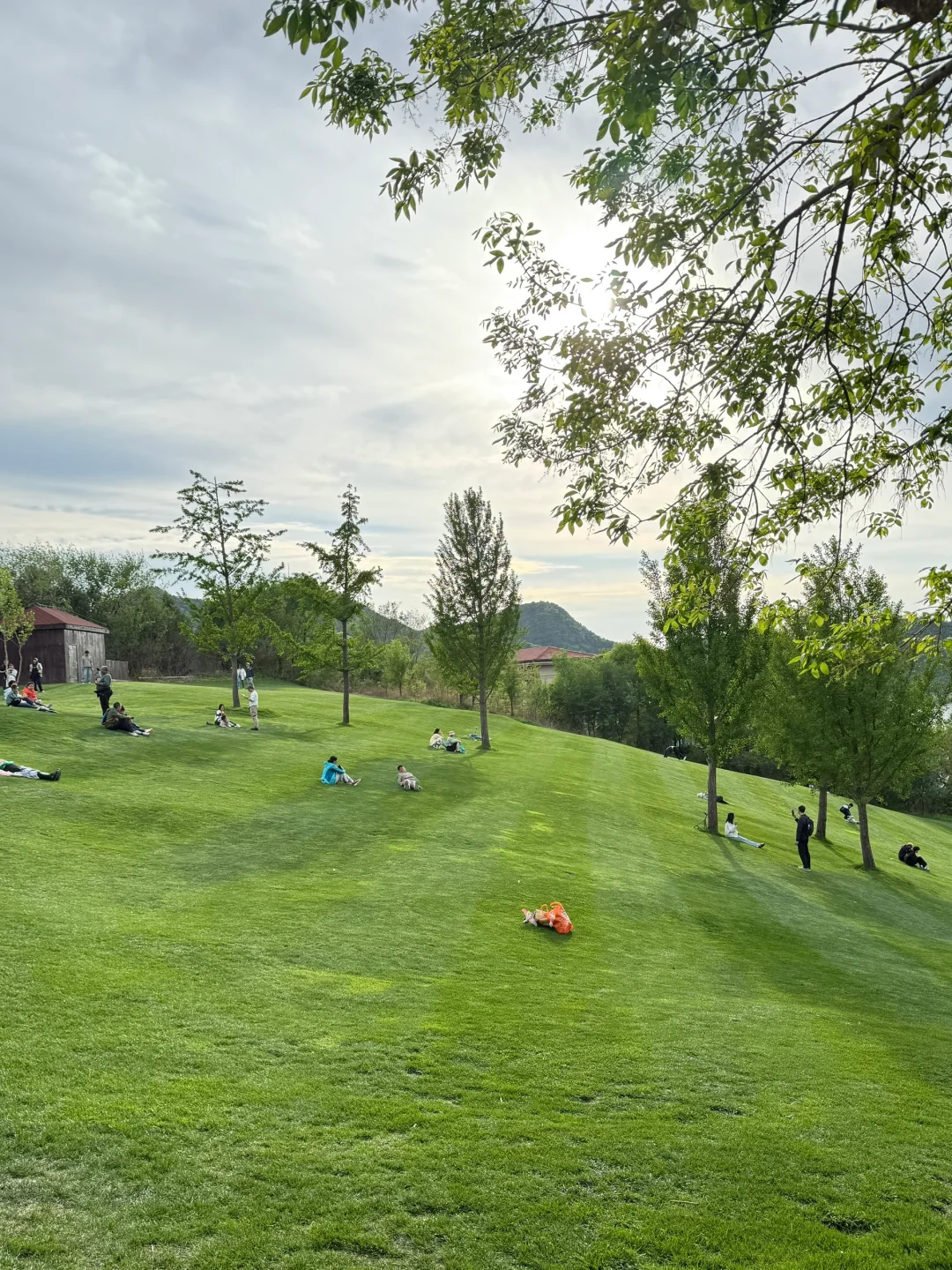 天津出发2h到达!趁好天气去大自然摆烂