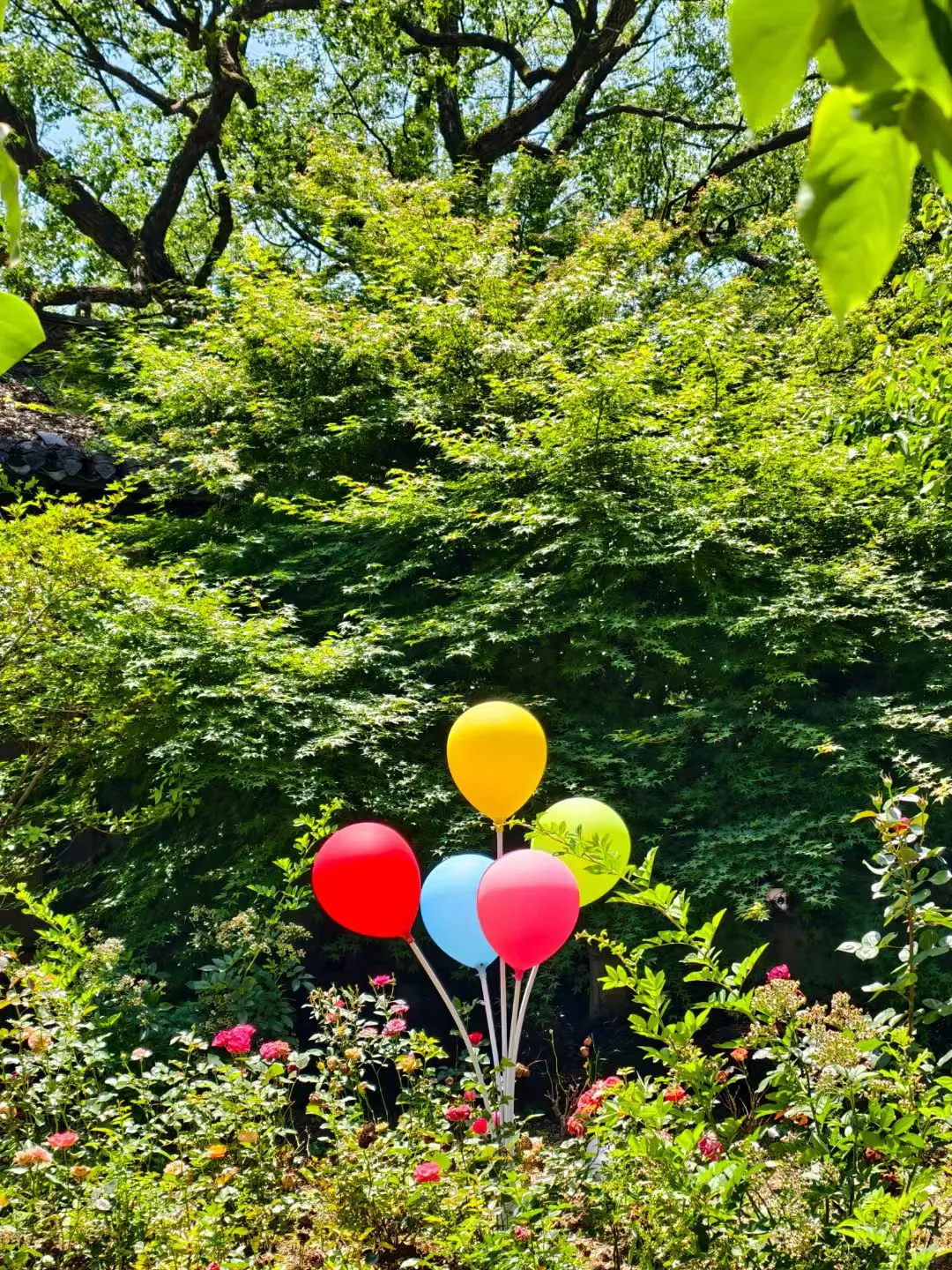 江西婺源篁岭景区，不愧是央视严选