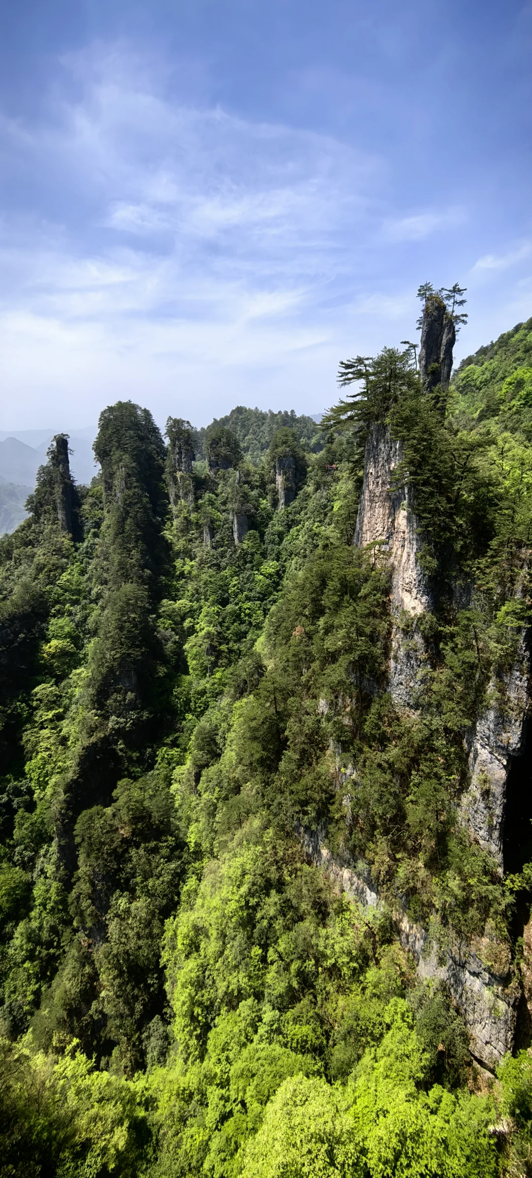 光雾山看高山杜鹃花攻略