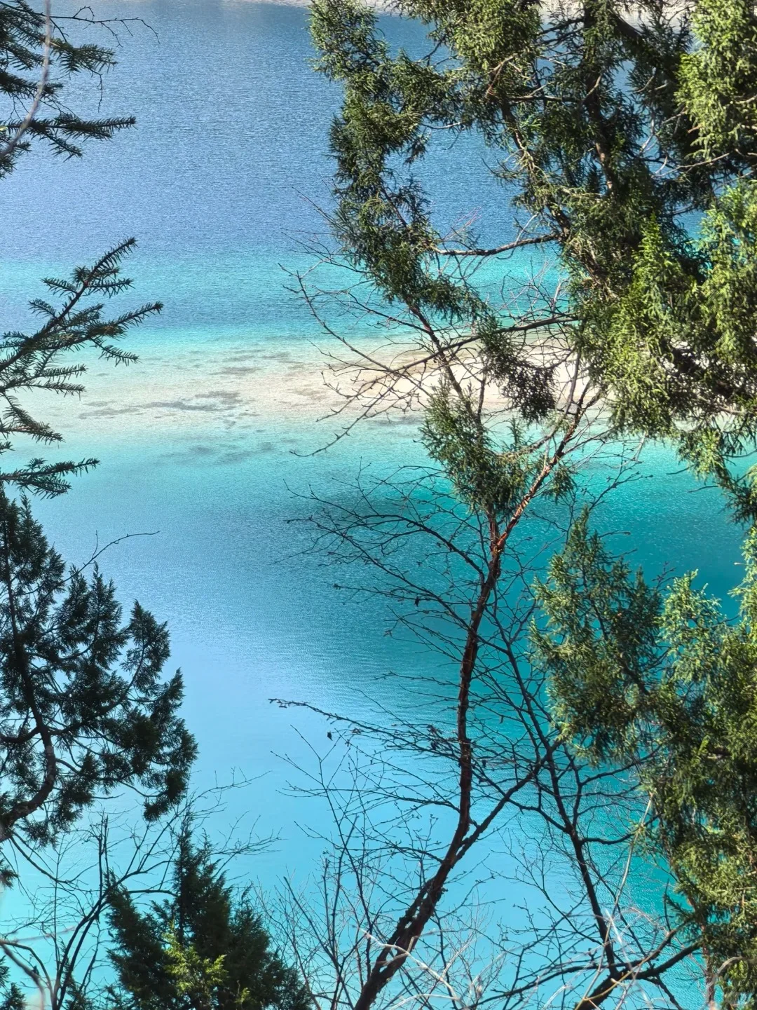 九寨沟避雷浅色衣服！！听劝（血泪穿搭指南
