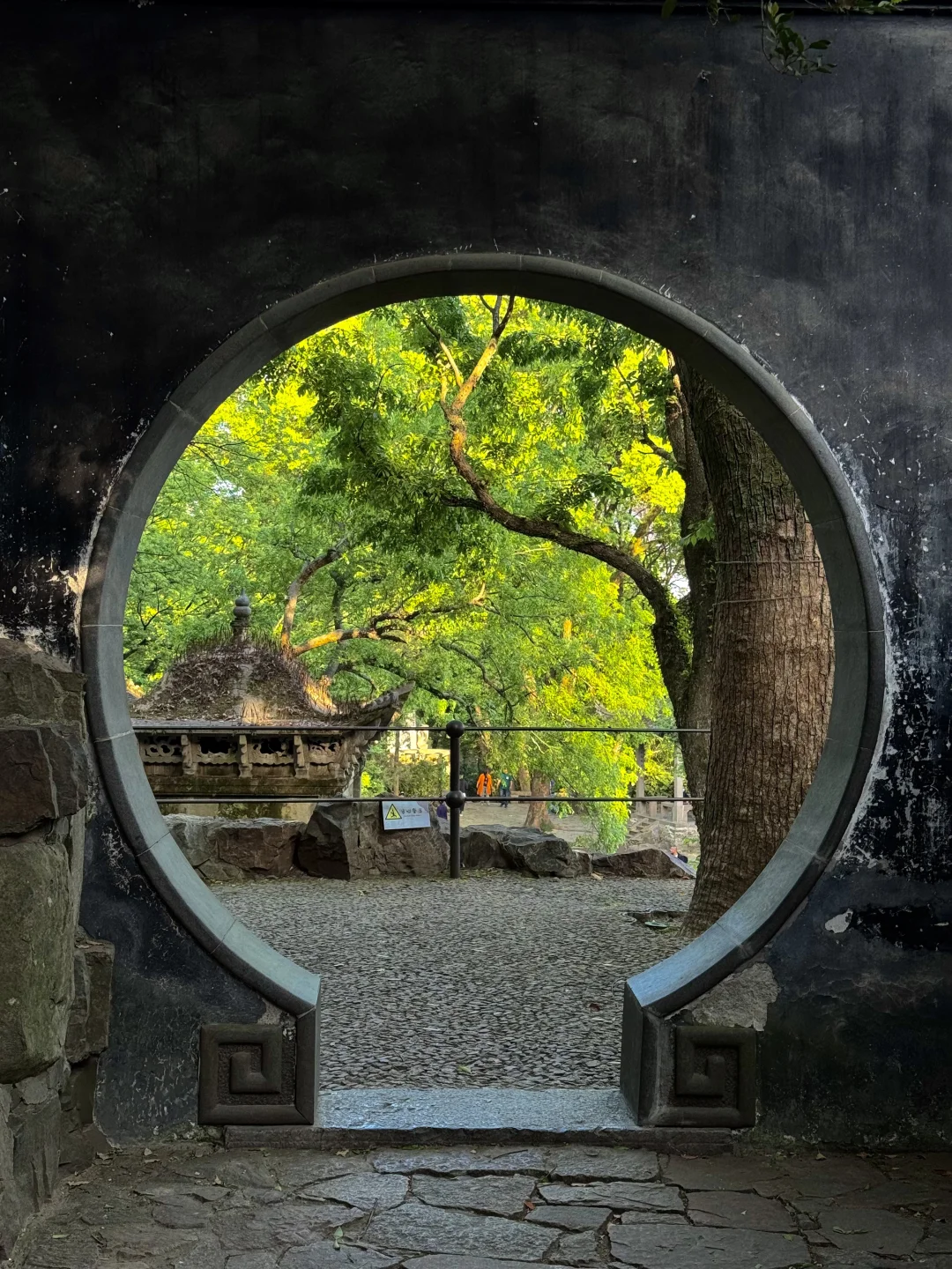 苏州被问爆的1️⃣5️⃣个机位❗️发pyq直接赢麻