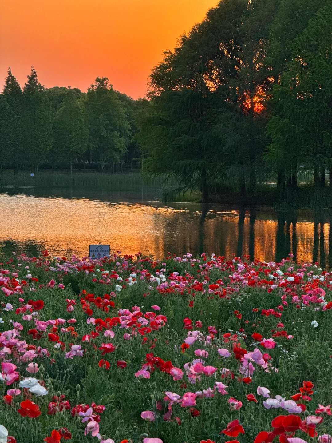 苏州被问爆的1️⃣5️⃣个机位❗️发pyq直接赢麻