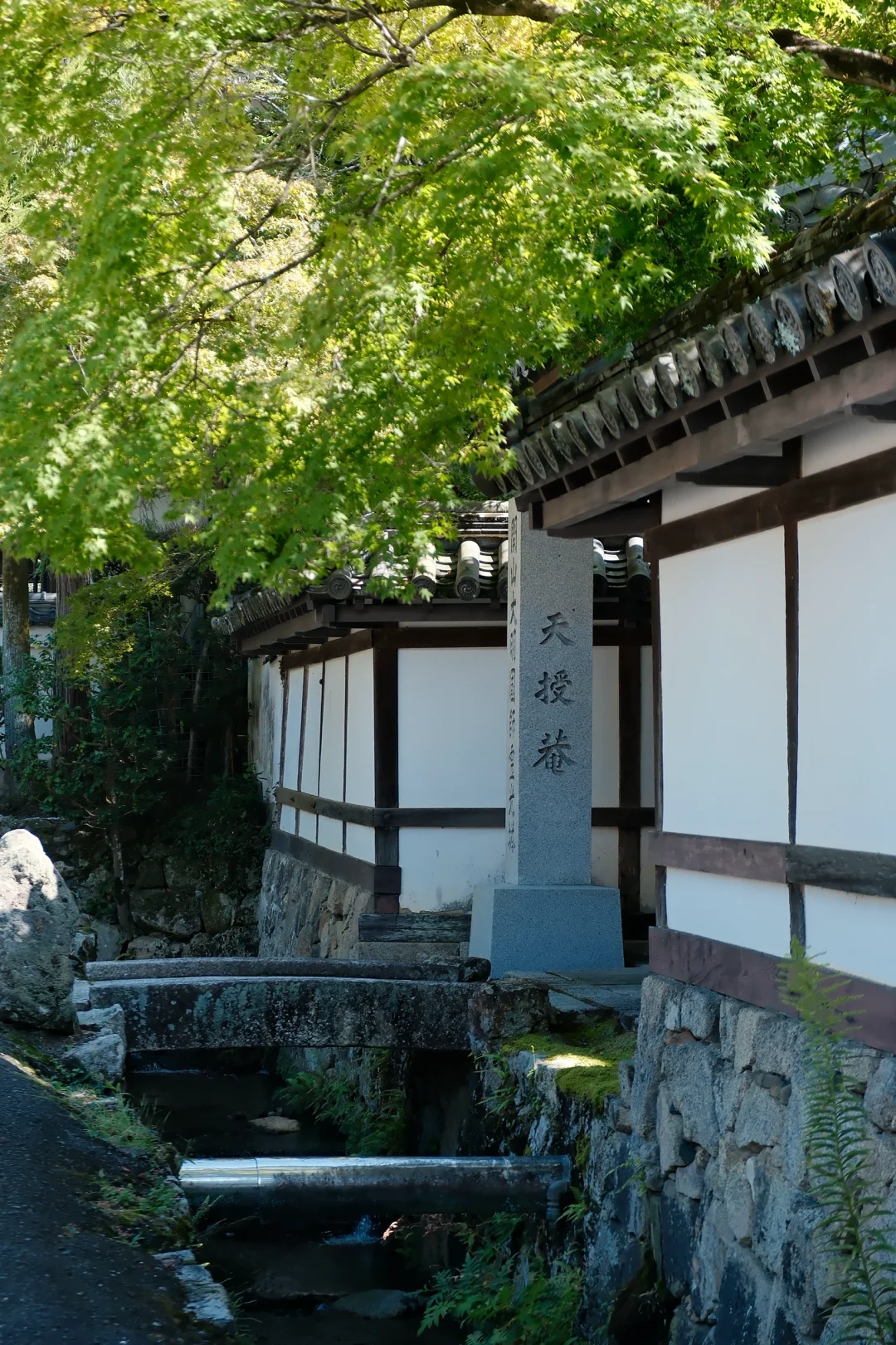 🇯🇵|天授庵🍃京都最值得的一日游路线