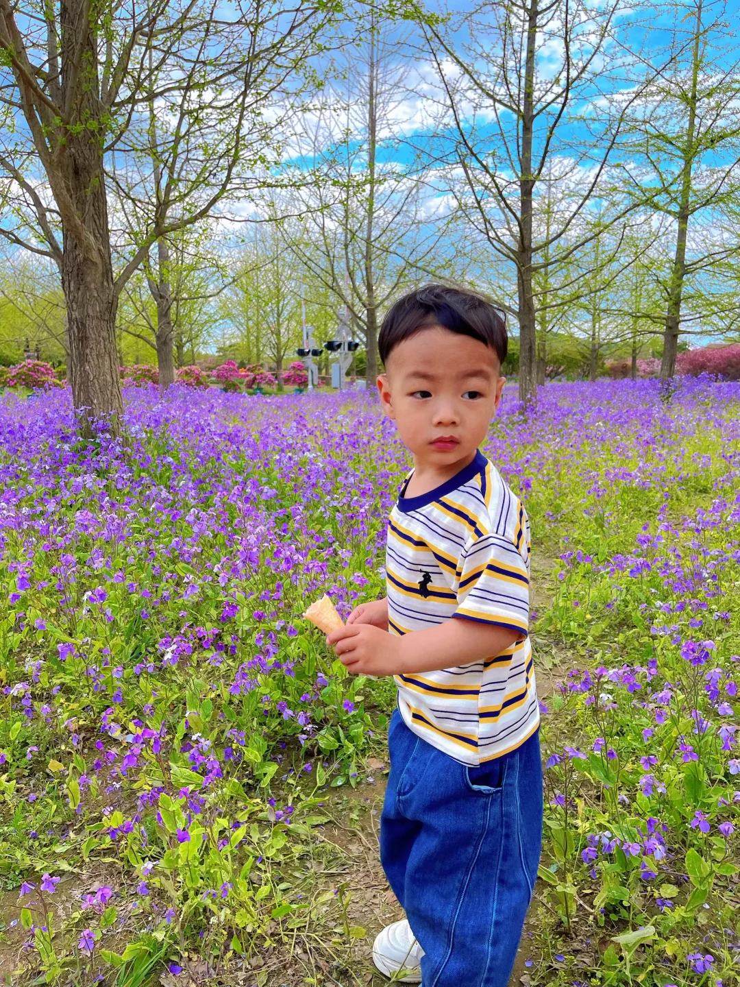 掉进了宫崎骏的画卷里🖼️