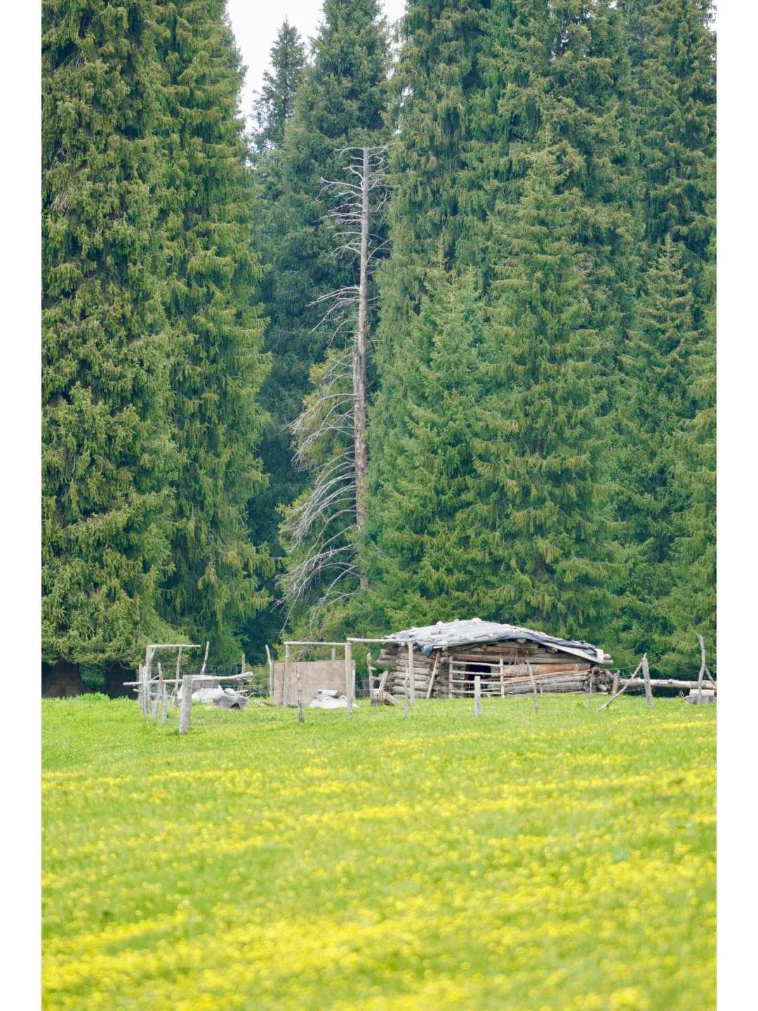 去了10次➕新疆，我的建议是：