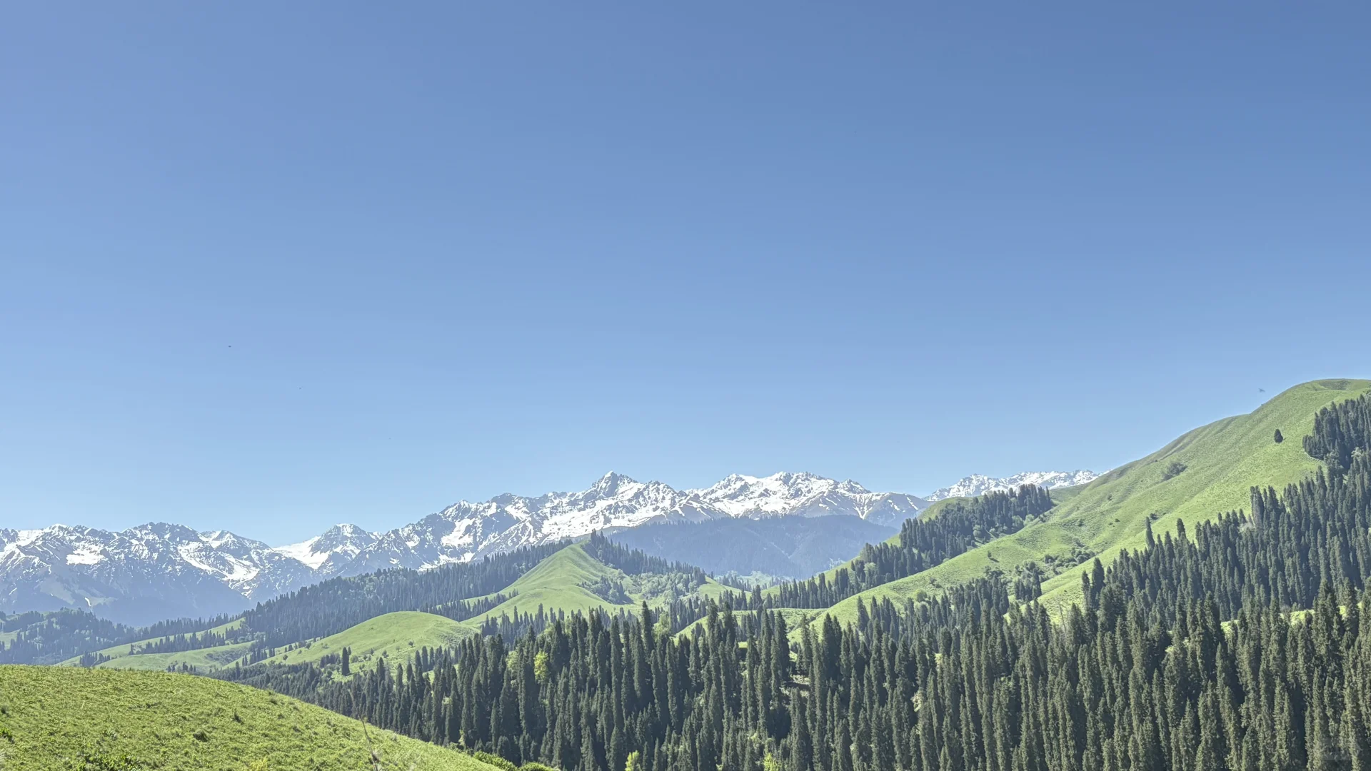 5.14的恰西和库尔德宁大晴天