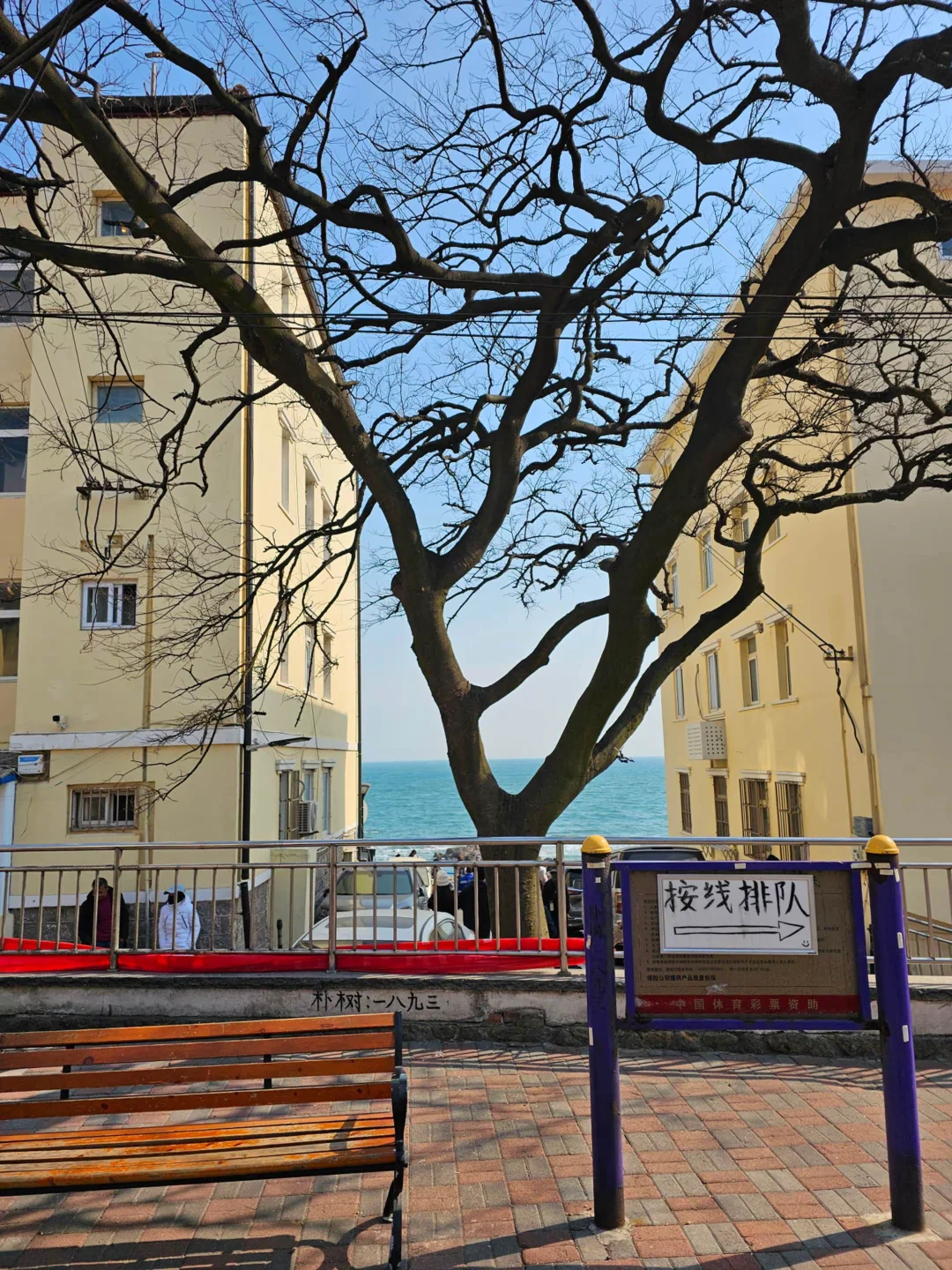 五一来青岛❗特种兵两天一晚保姆级攻略