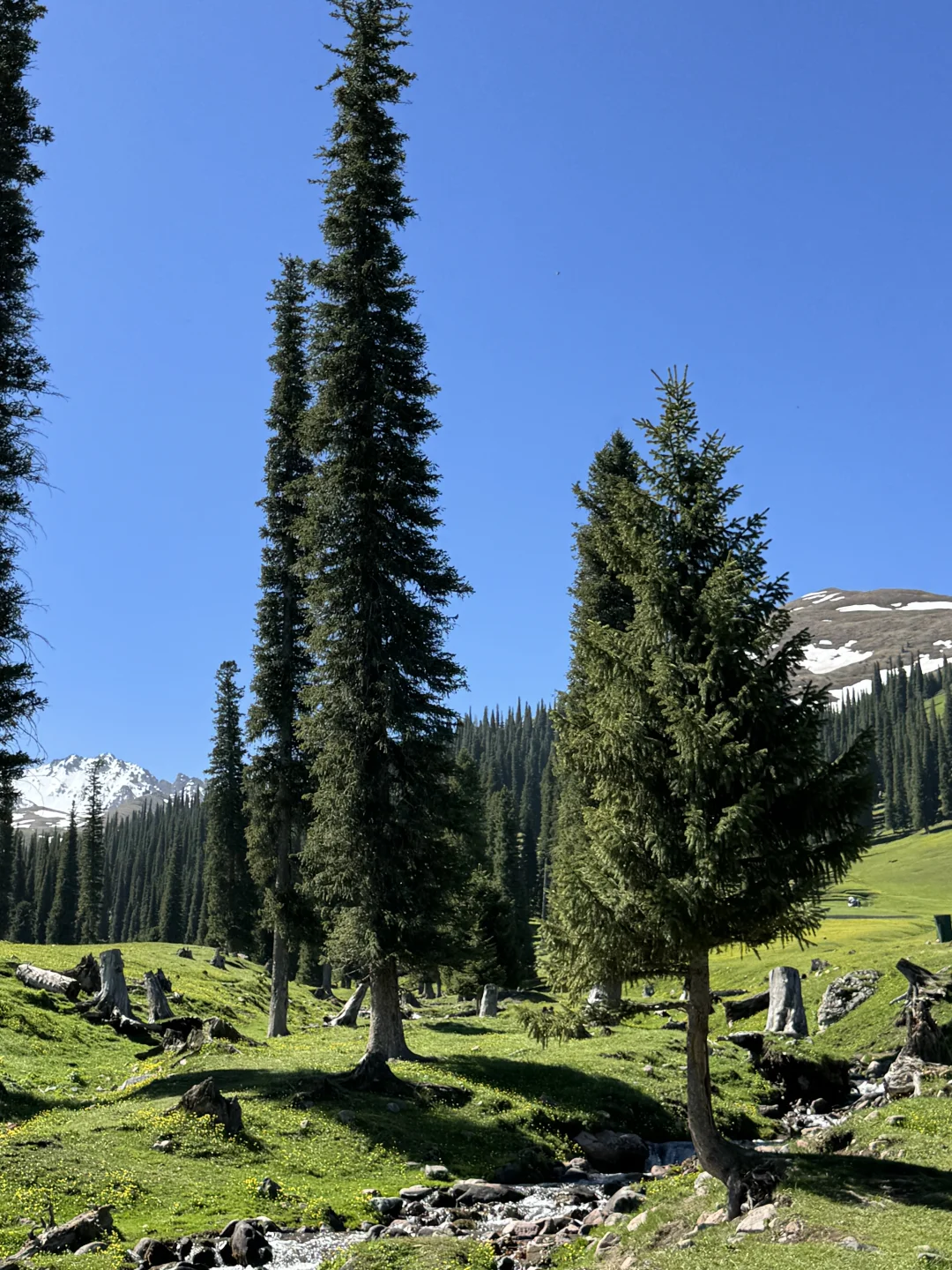 2025.05.14📍那拉提