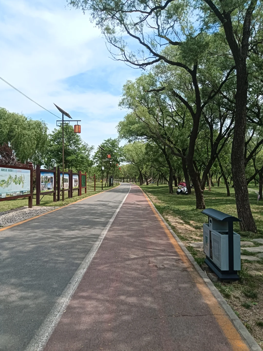 春末夏初的沁河郊野