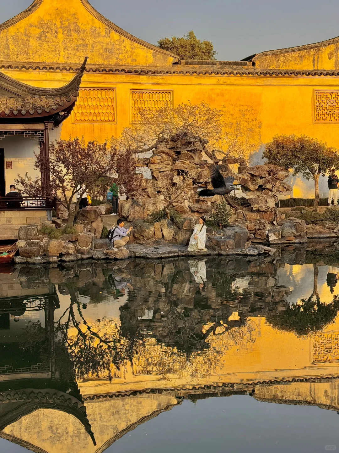 苏州被问爆的1️⃣5️⃣个机位❗️发pyq直接赢麻