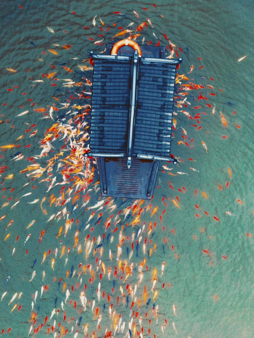 人间仙境葛仙村，体验手可摘星辰✨