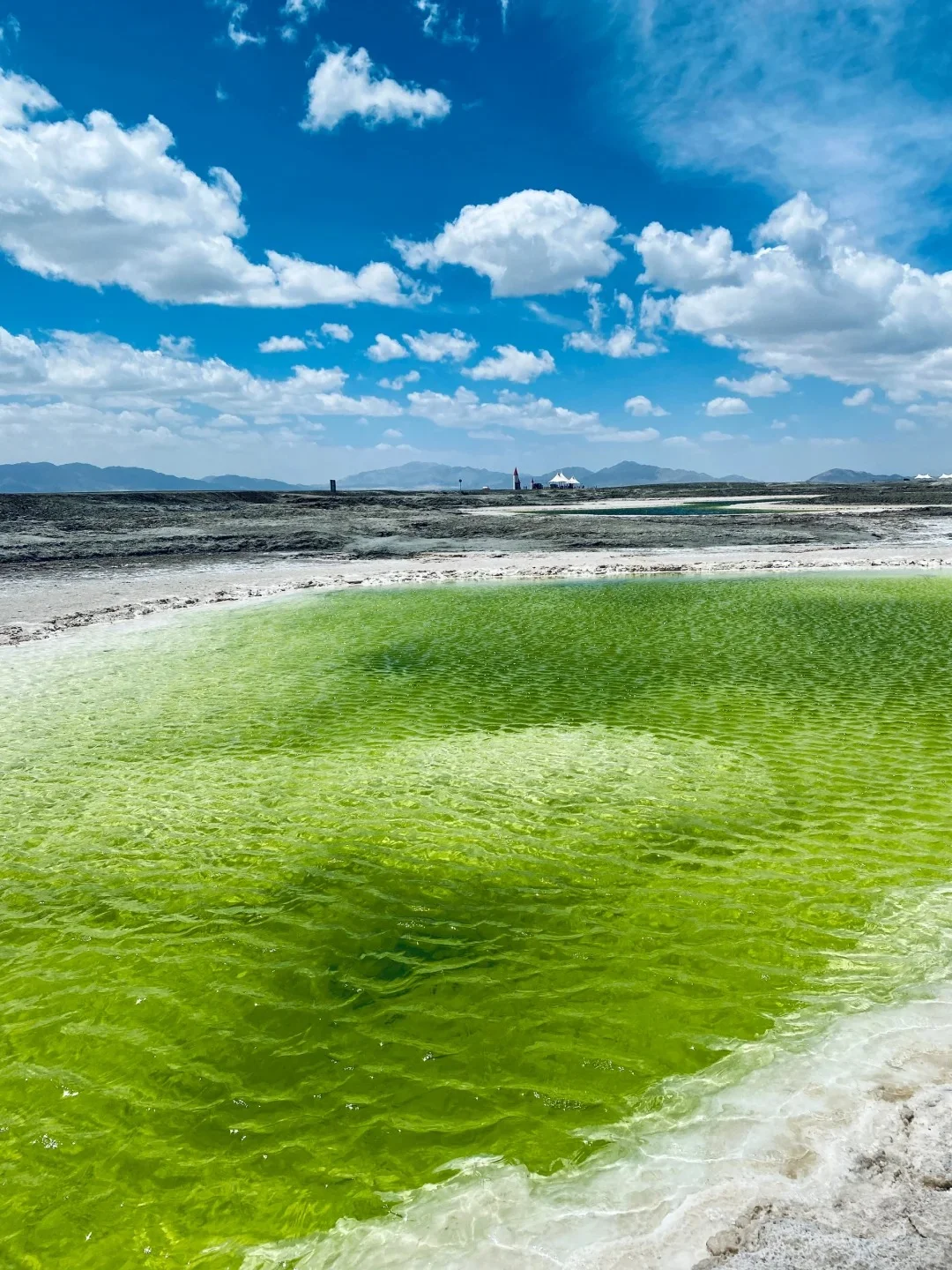 终于到我发西北调色盘啦||附攻略