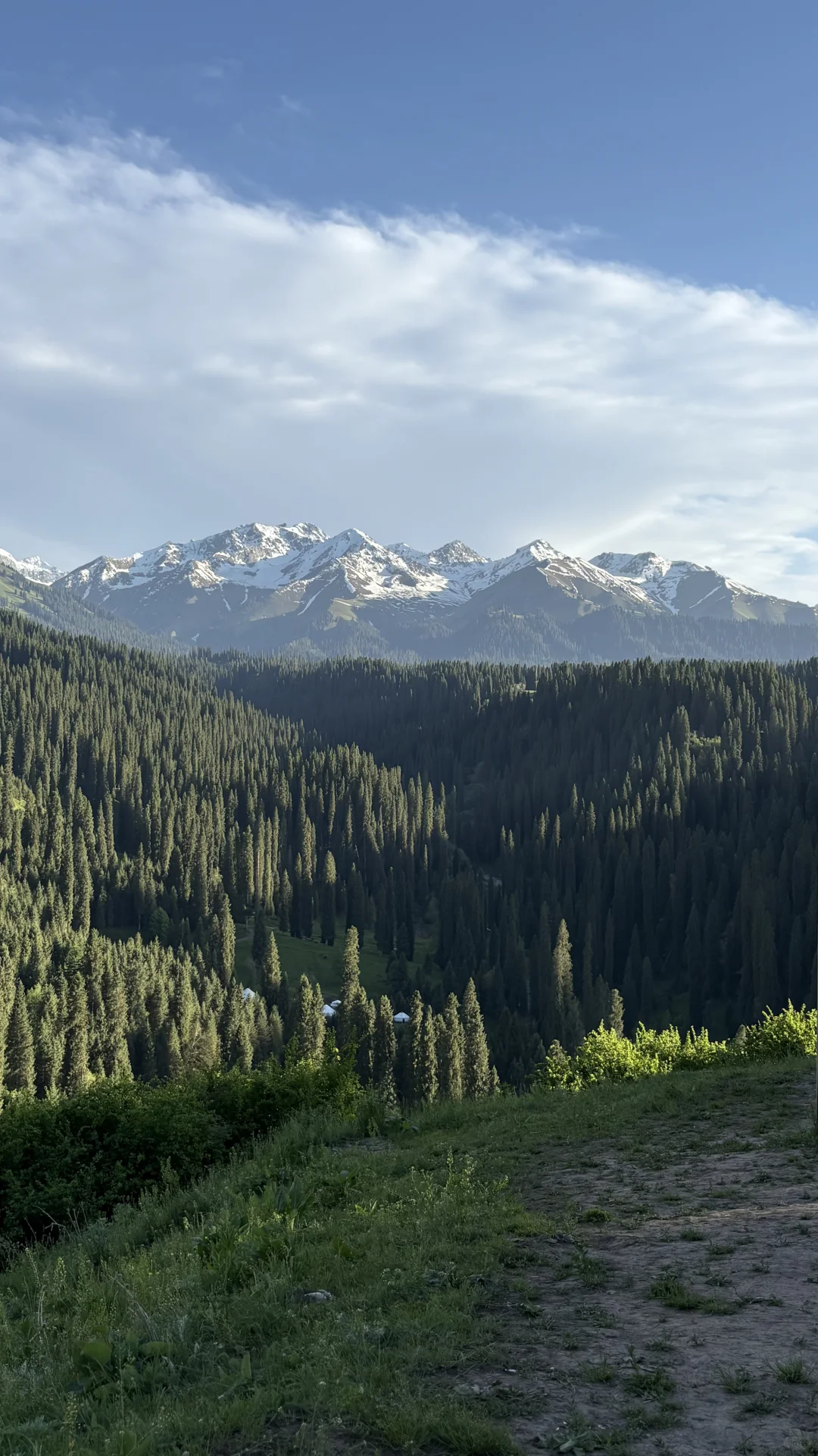 5.14的恰西和库尔德宁大晴天