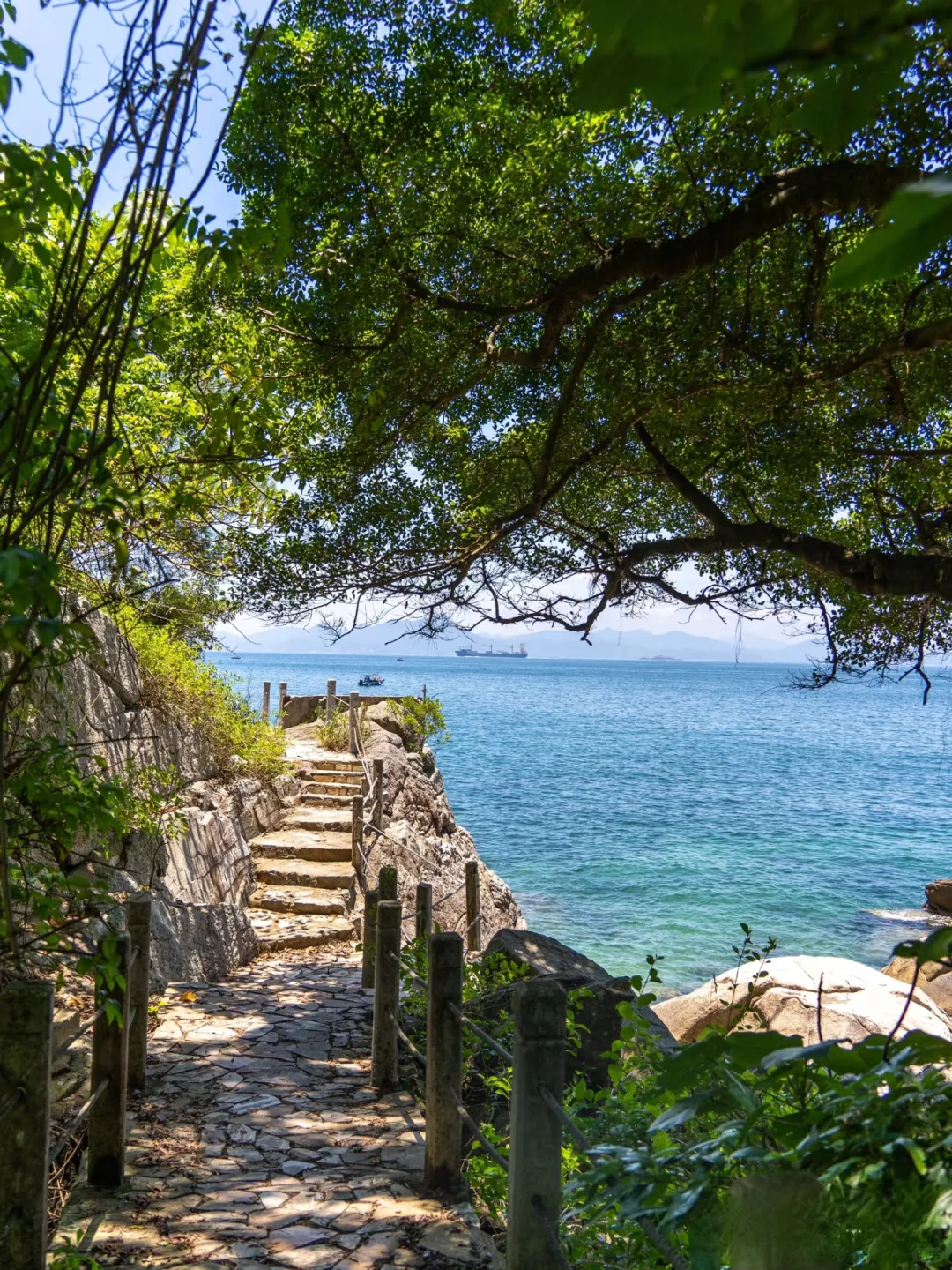 亲测无广📝，深圳穷游攻略来啦!!