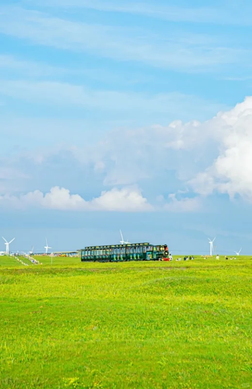 五一假期呼和浩特怎么玩