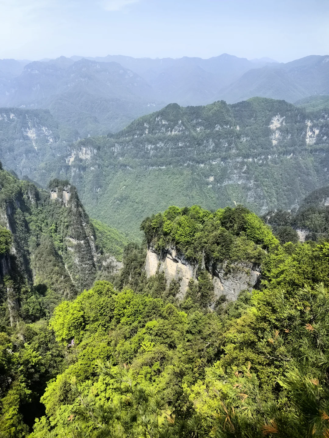 光雾山看高山杜鹃花攻略