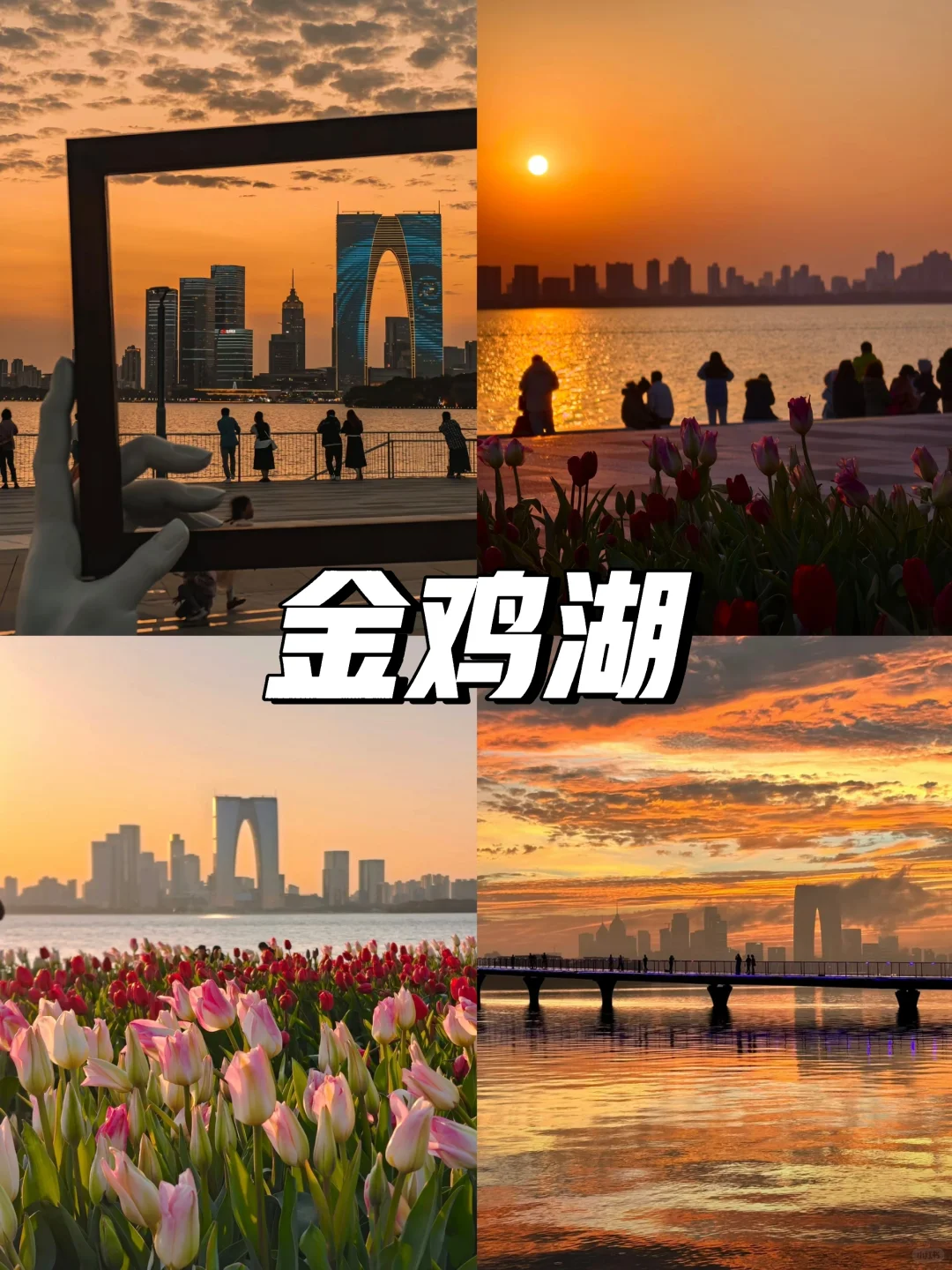 苏州真的会“惩罚”每一个不认真做攻略的人