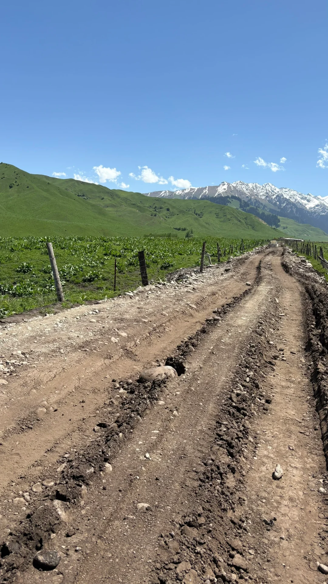 5.14的恰西和库尔德宁大晴天