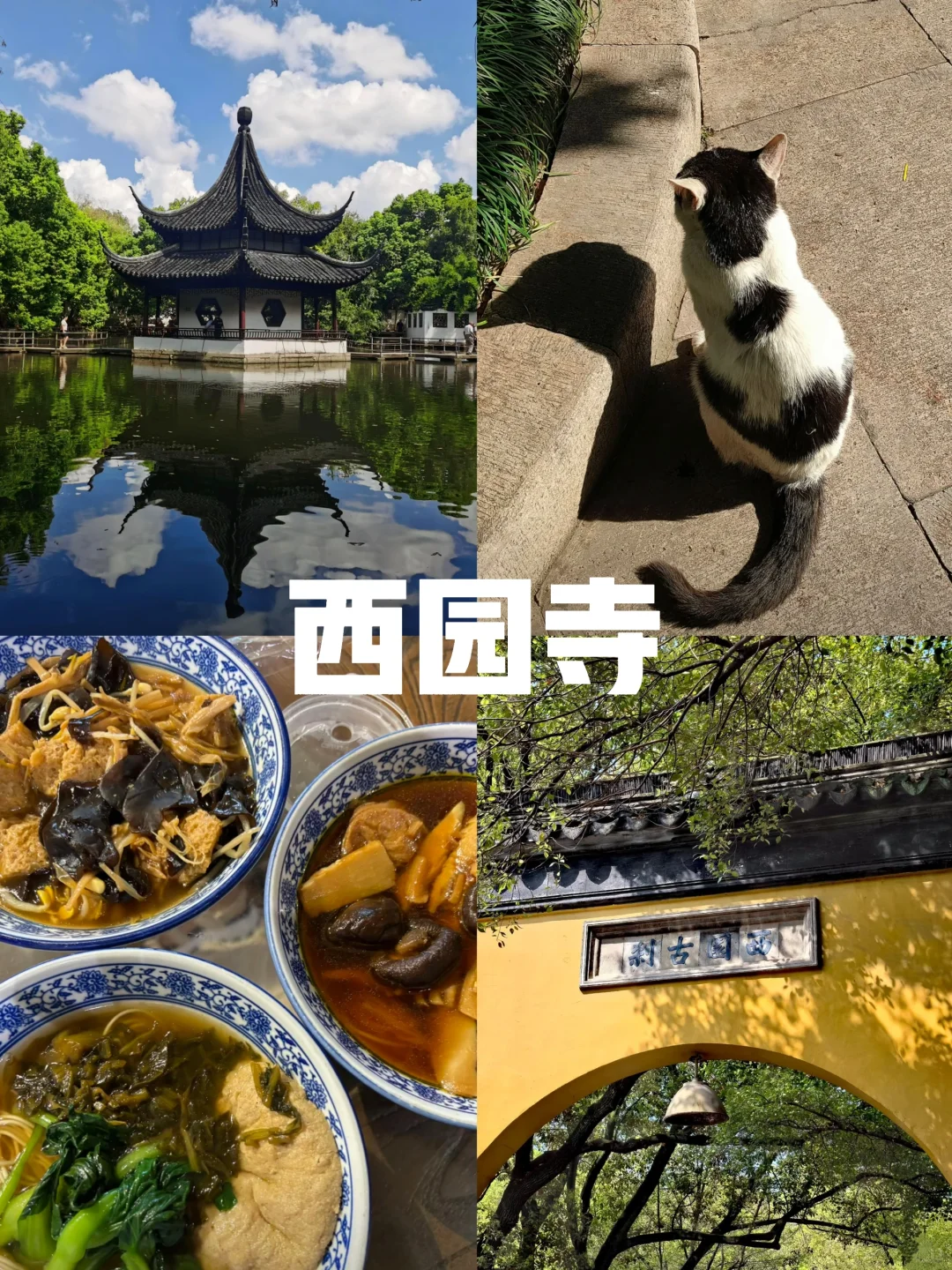 苏州真的会“惩罚”每一个不认真做攻略的人