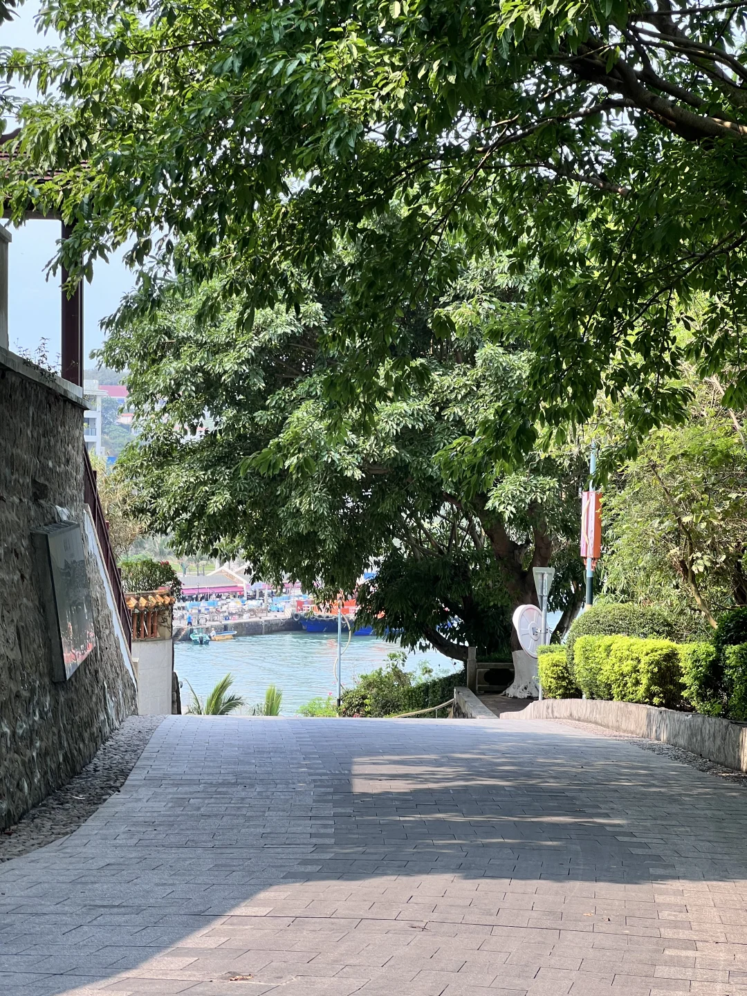 广东小众海岛🏝️真的很美！（附攻略）