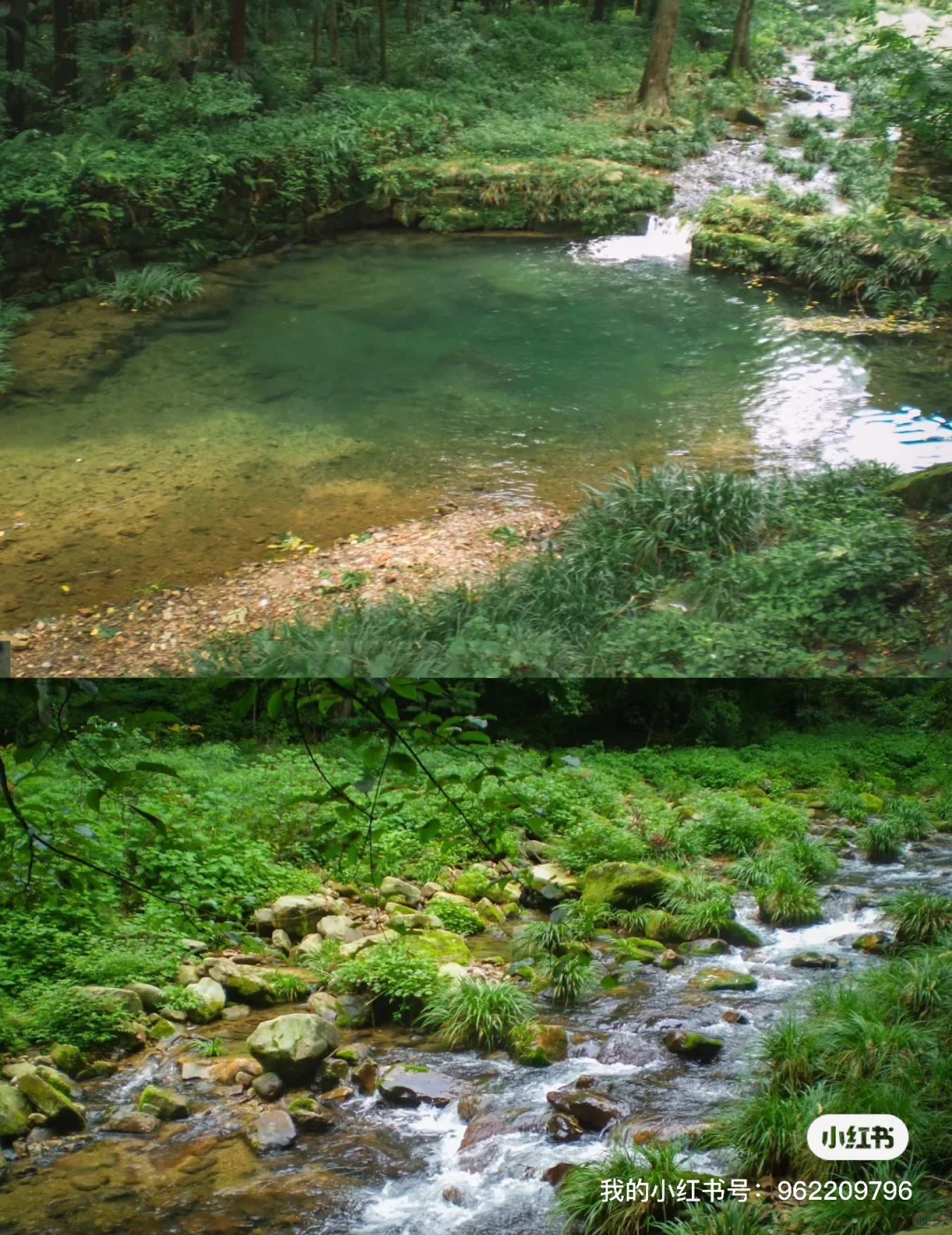 张家界国家森林公园