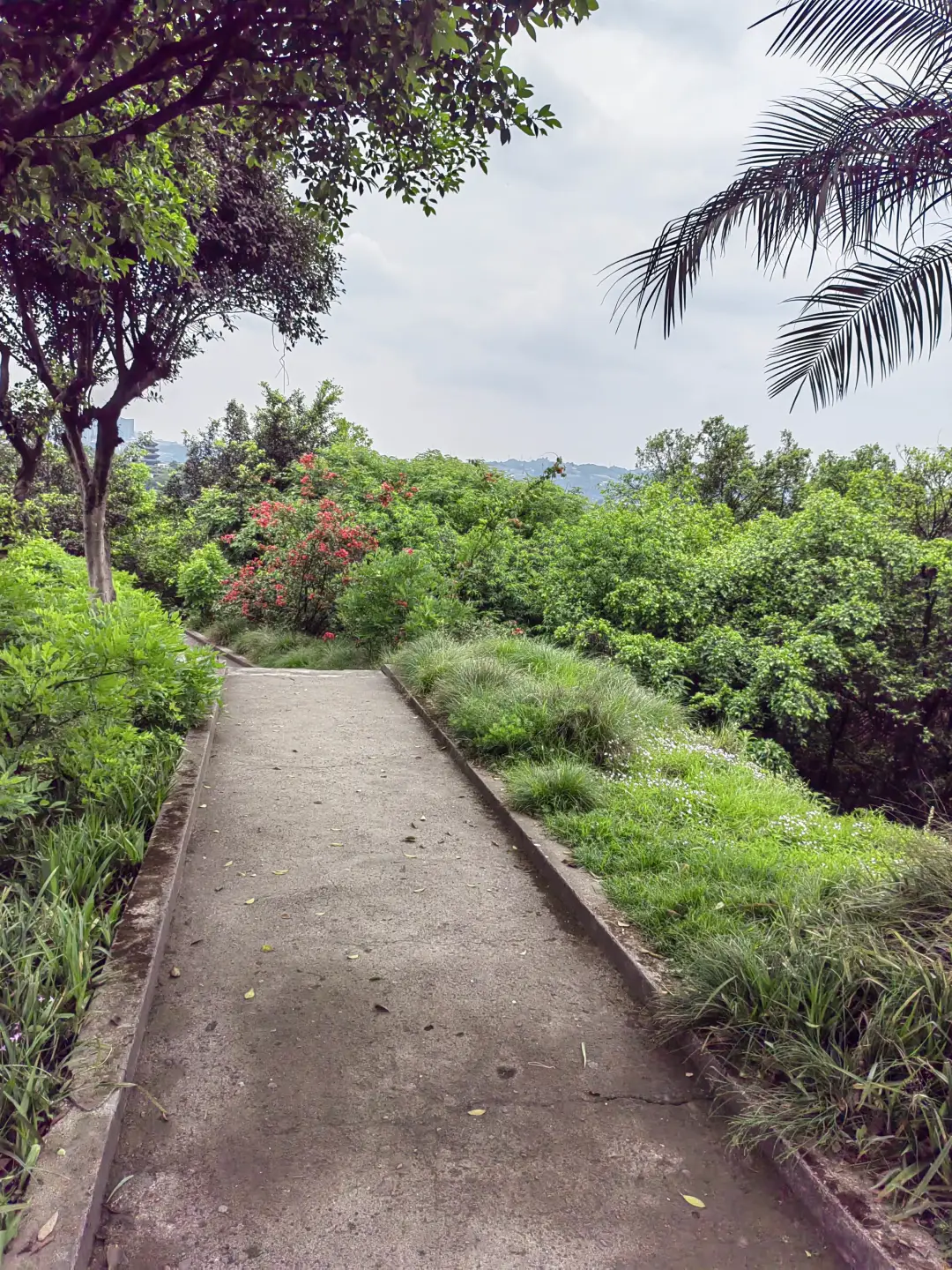 超值之旅，就在宜宾等你来