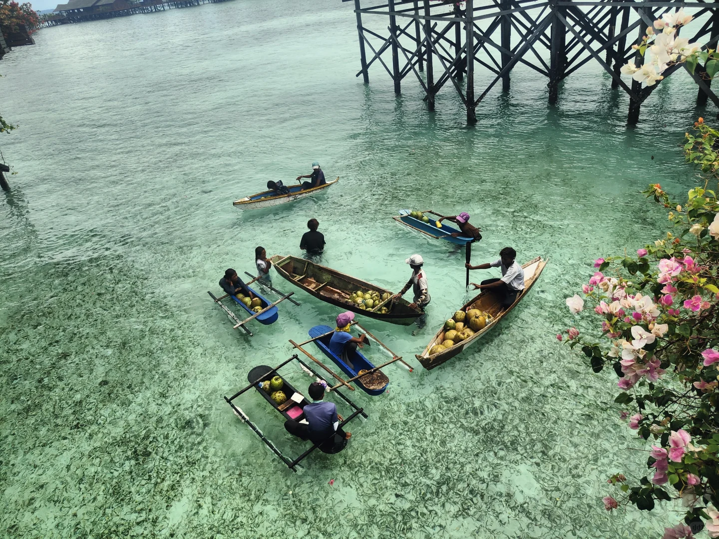 马来西亚12天4250元(仙本那亚庇行程攻略)