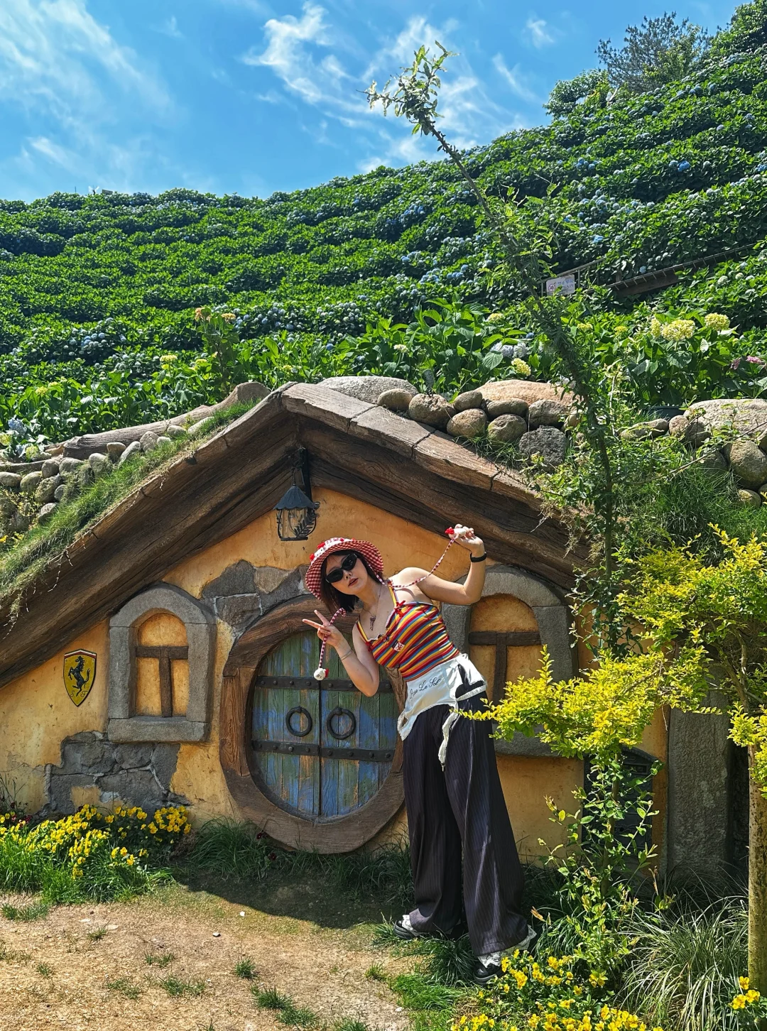 温州泰顺小众打卡景点，绣球花海绝了绝了