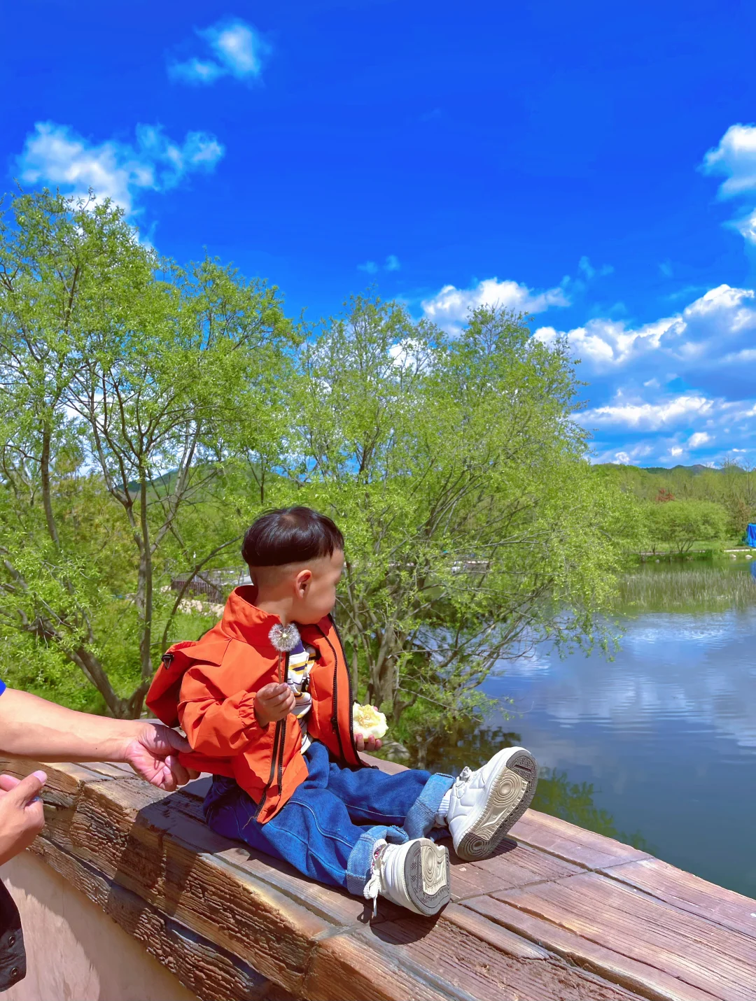 掉进了宫崎骏的画卷里🖼️