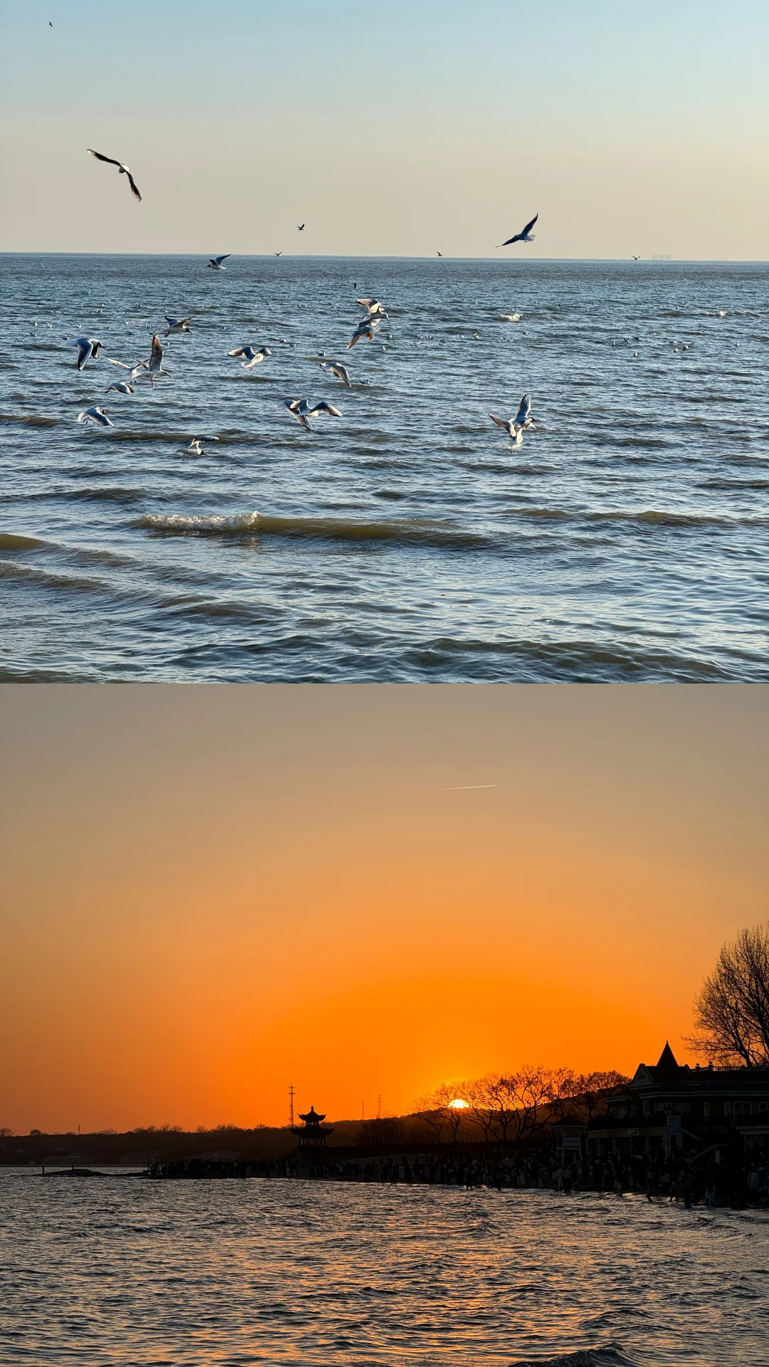 一天攻略阿那亚!附拍照攻略📜直接抄作业!