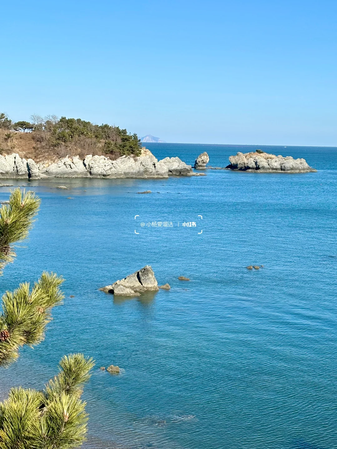 大连旅游最佳时间+必打卡景点，听劝不踩坑