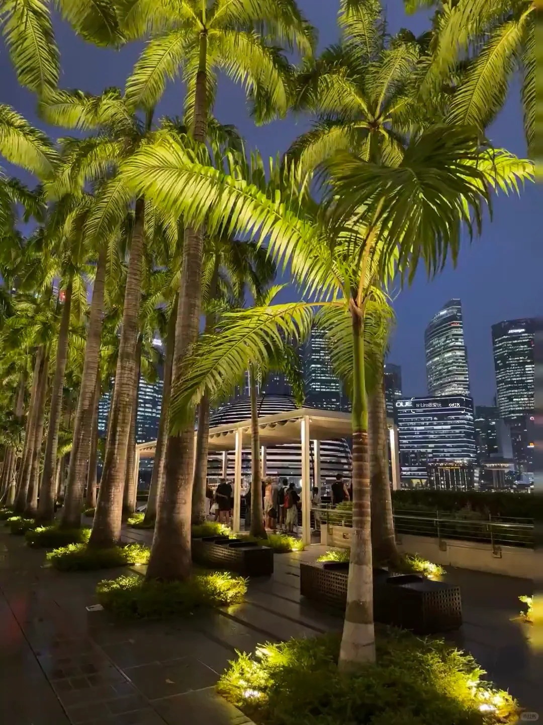 4.28📍新加坡已回，说点不一样的。。。