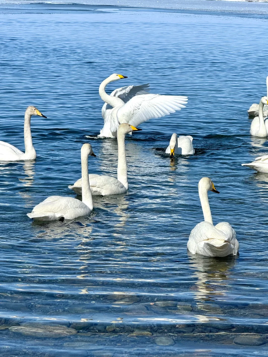 别被网红骗了！赛里木湖最值得拍的其实是这