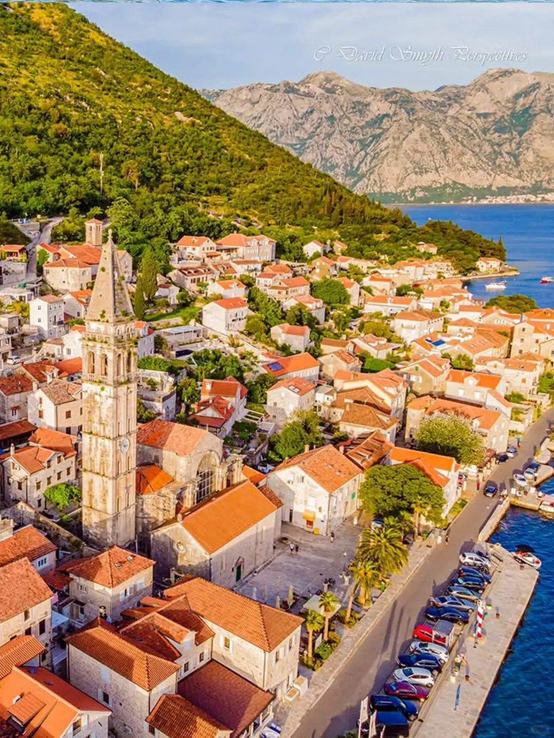 🔥 一价全包+免签说走就走！