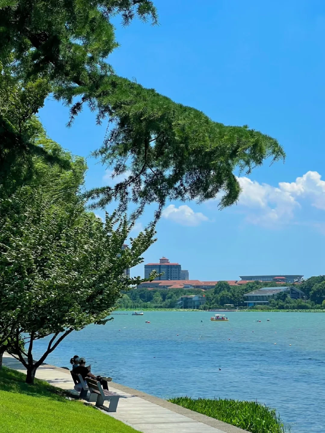 南京旅游|拍照打卡超绝地