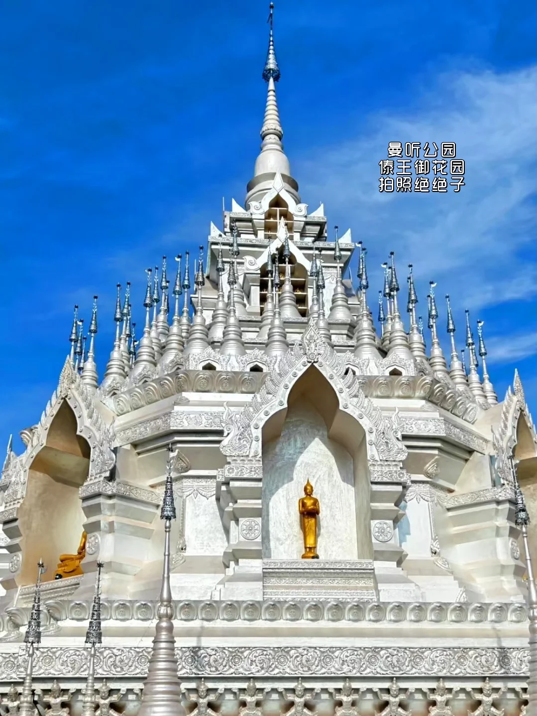 西双版纳3-5月必看！绝美打卡地曝光！