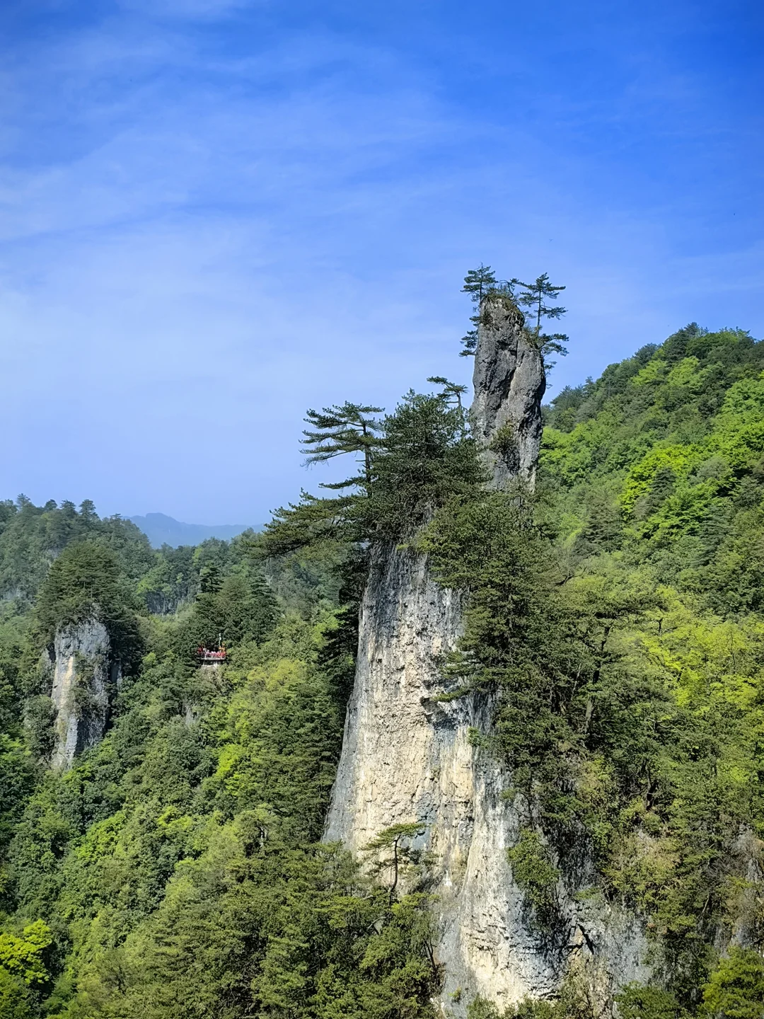 光雾山看高山杜鹃花攻略