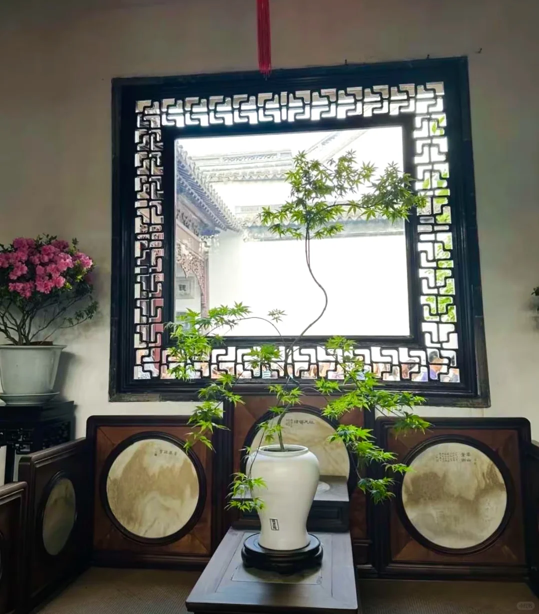 03女大📍苏州/一日游不走回头线旅游攻略❗️