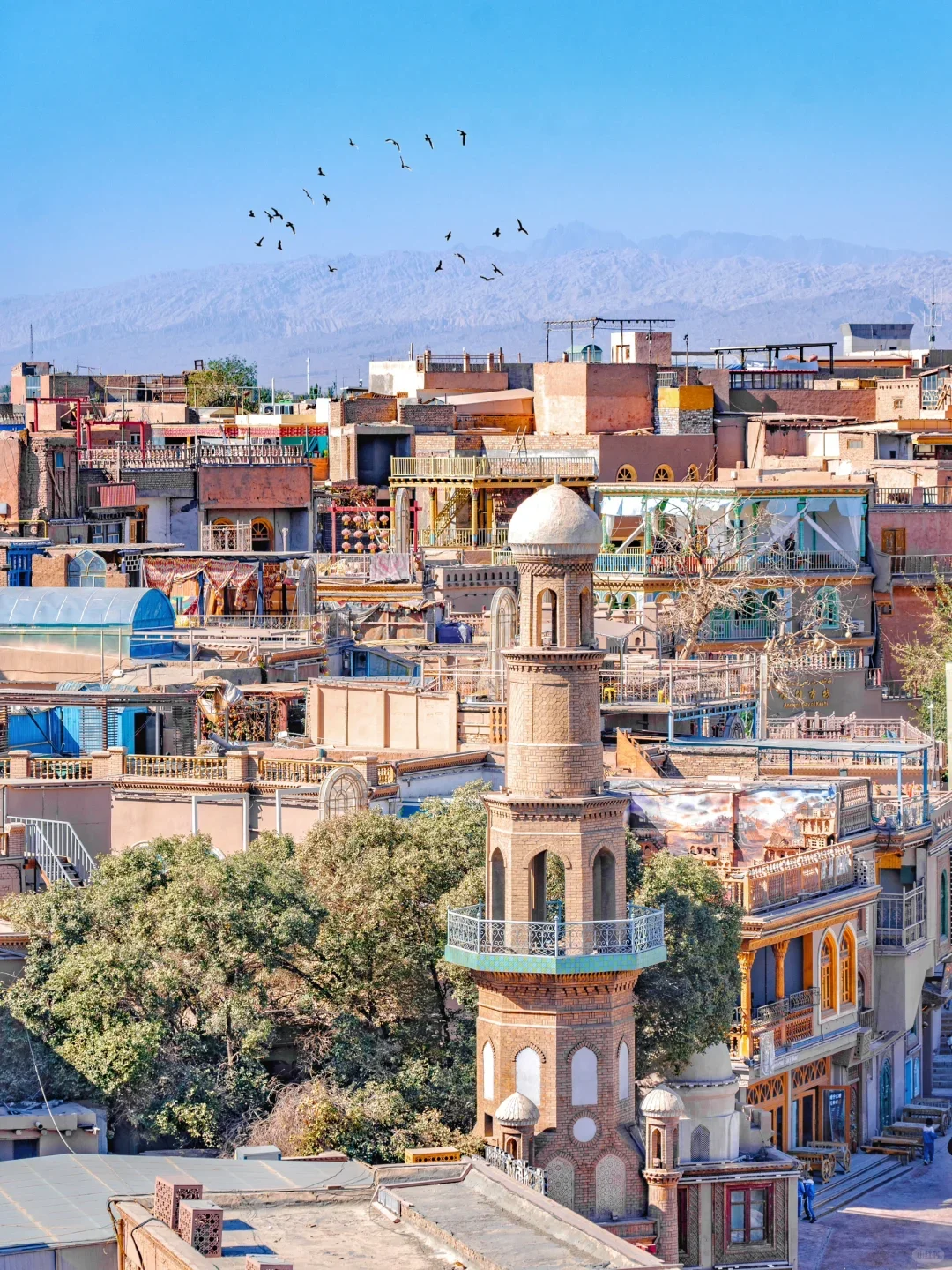 南北疆玩法终极指南🤯一篇让你看懂怎么玩