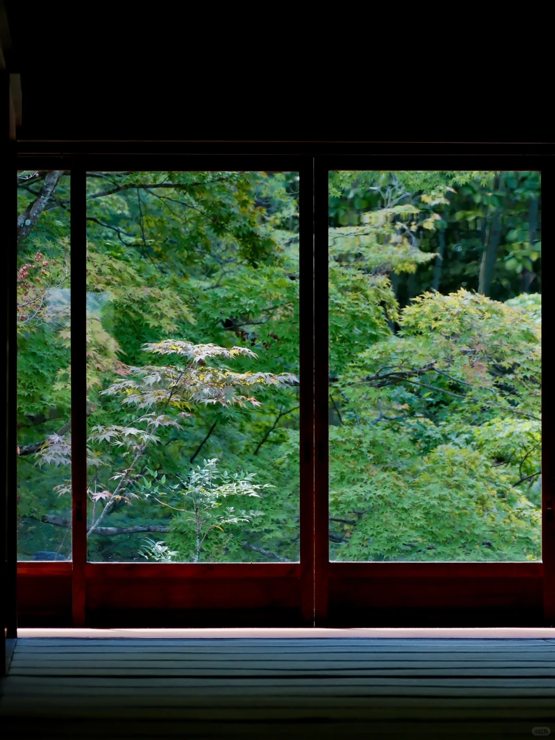 🇯🇵|天授庵🍃京都最值得的一日游路线